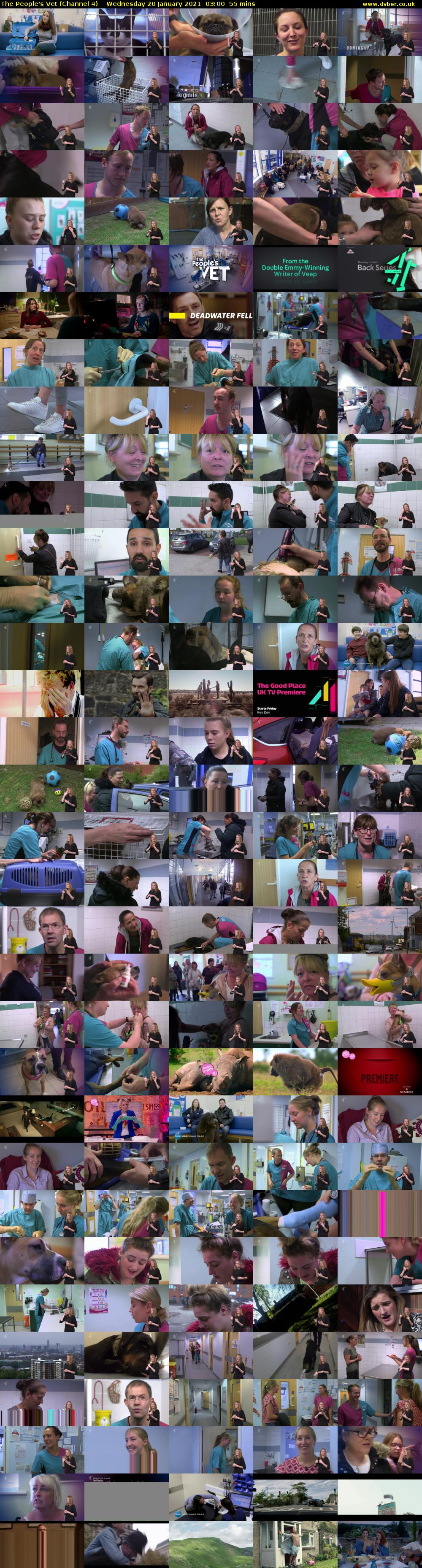 The People's Vet (Channel 4) Wednesday 20 January 2021 03:00 - 03:55