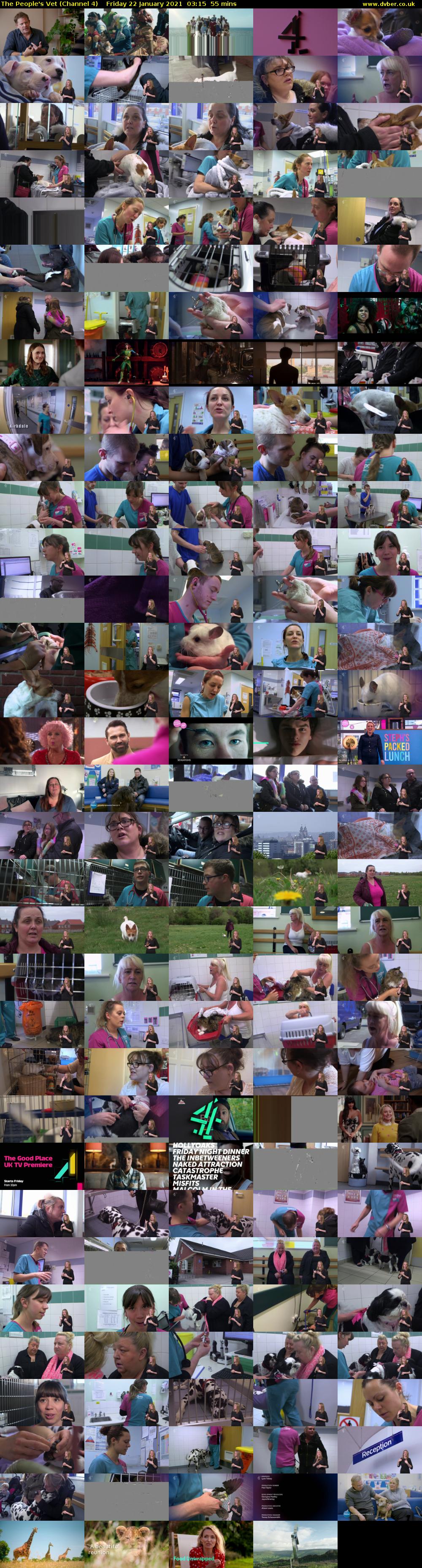 The People's Vet (Channel 4) Friday 22 January 2021 03:15 - 04:10