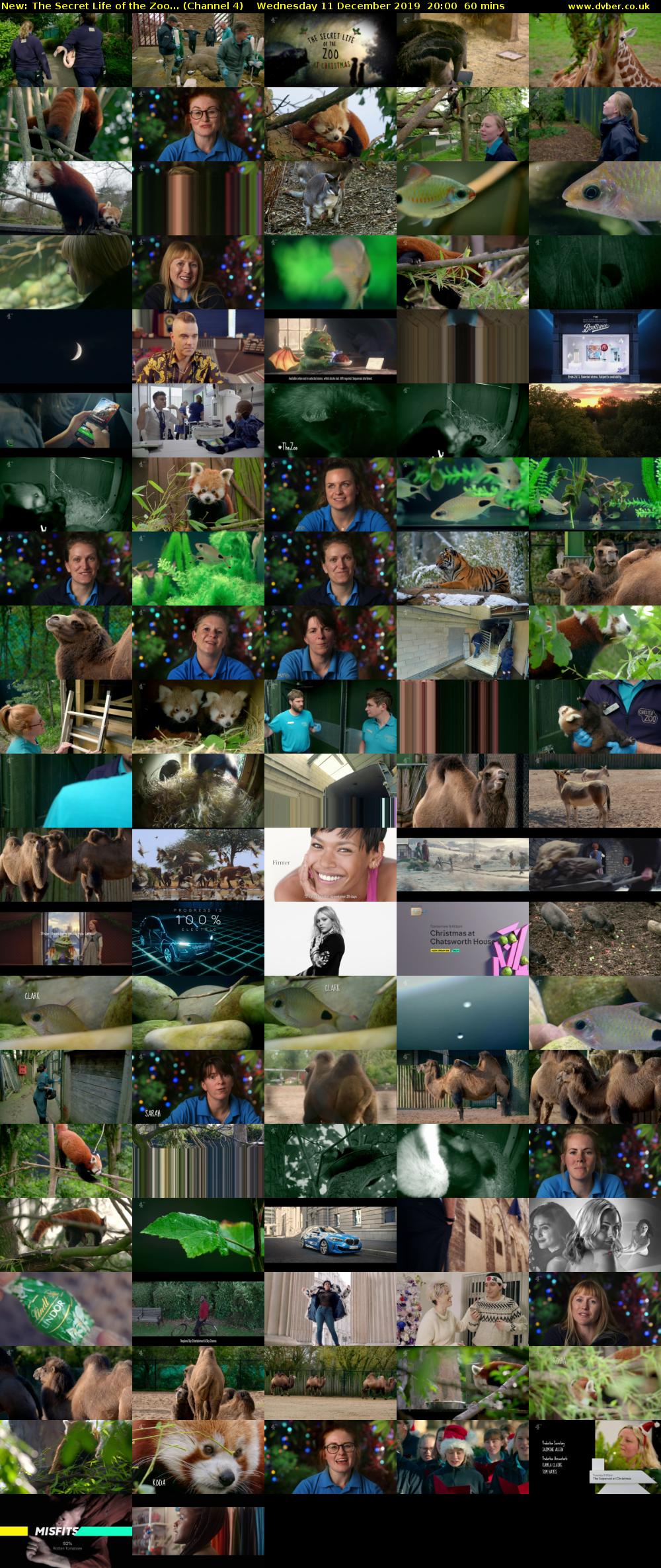 The Secret Life of the Zoo... (Channel 4) Wednesday 11 December 2019 20:00 - 21:00