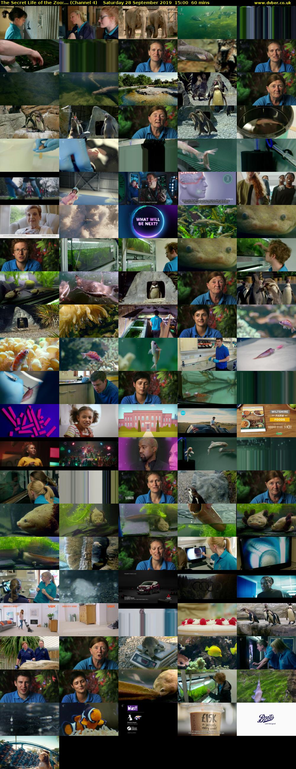 The Secret Life of the Zoo:... (Channel 4) Saturday 28 September 2019 15:00 - 16:00