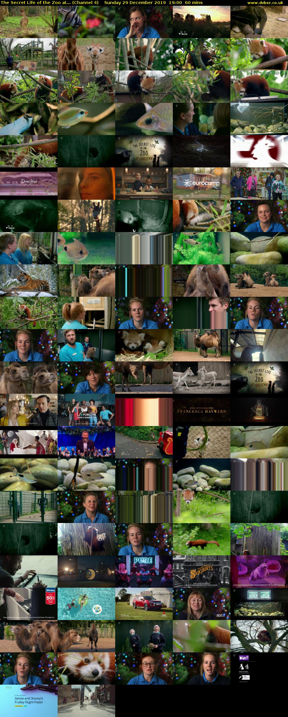 The Secret Life of the Zoo at... (Channel 4) Sunday 29 December 2019 19:00 - 20:00