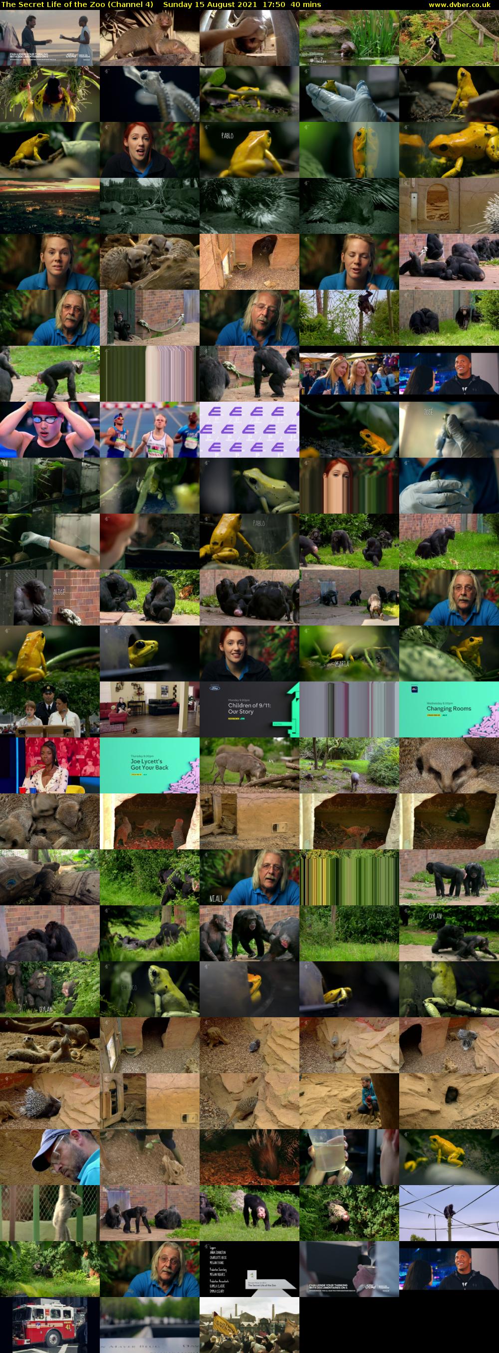 The Secret Life of the Zoo (Channel 4) Sunday 15 August 2021 17:50 - 18:30