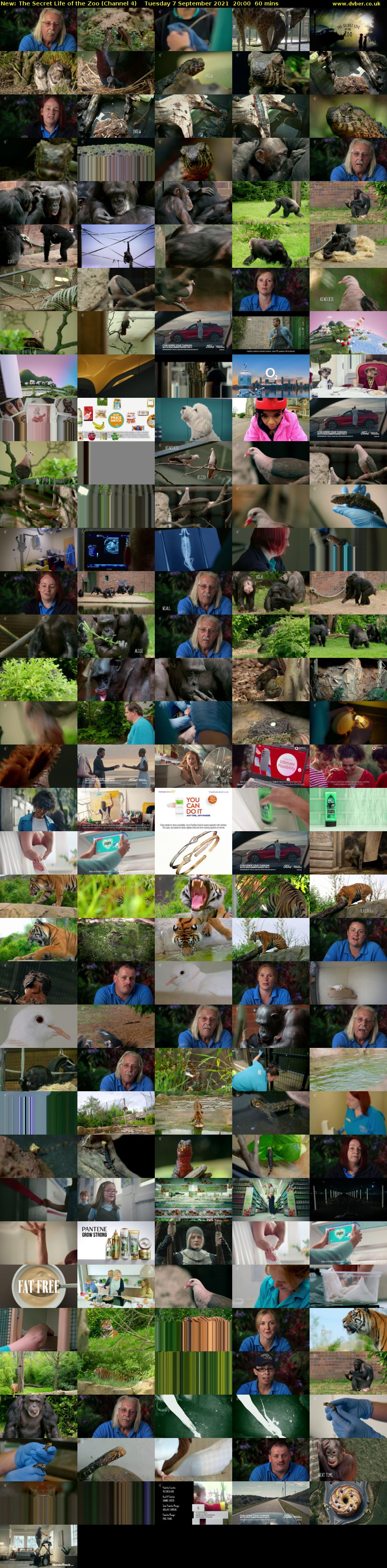 The Secret Life of the Zoo (Channel 4) Tuesday 7 September 2021 20:00 - 21:00