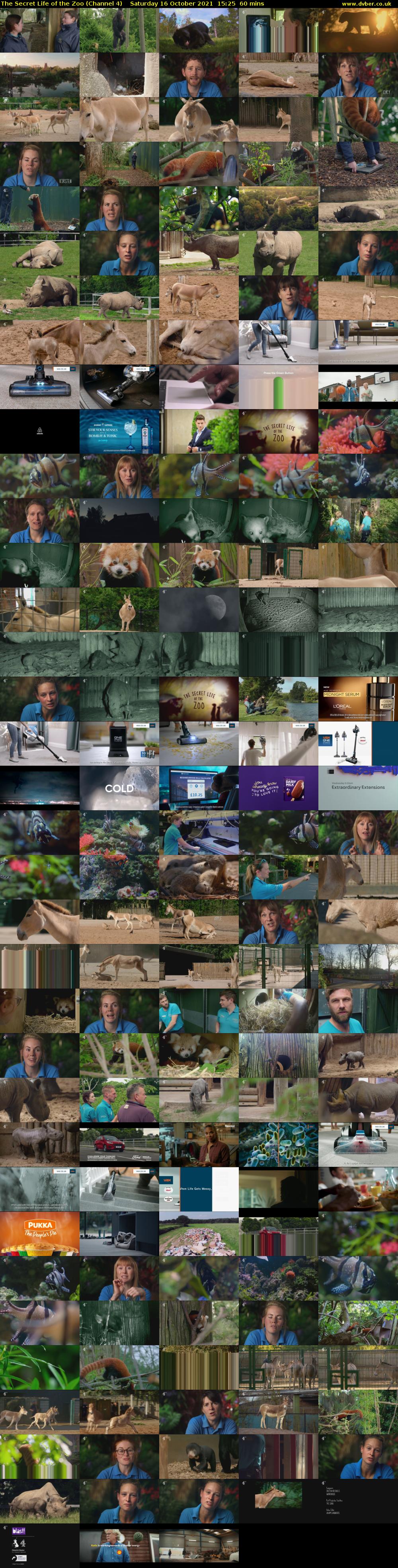 The Secret Life of the Zoo (Channel 4) Saturday 16 October 2021 15:25 - 16:25
