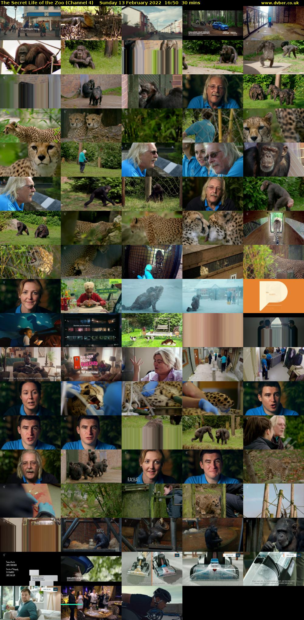 The Secret Life of the Zoo (Channel 4) Sunday 13 February 2022 16:50 - 17:20