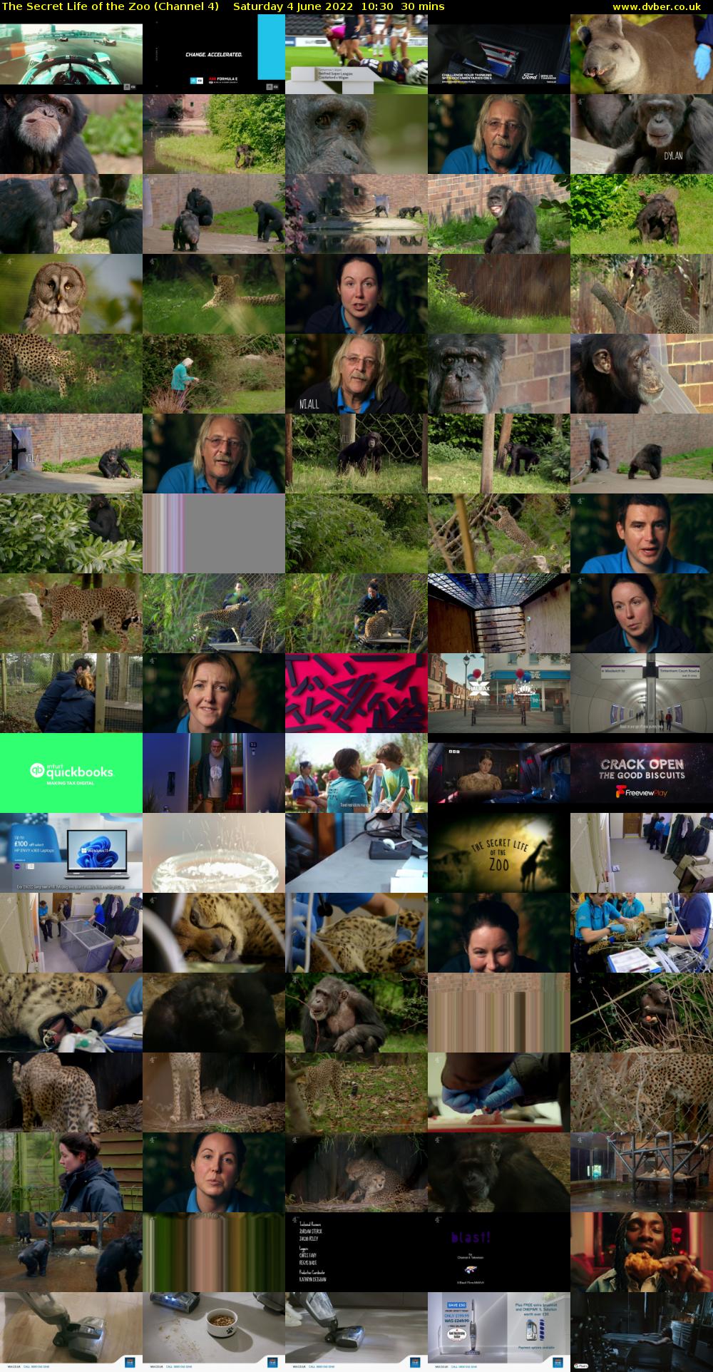 The Secret Life of the Zoo (Channel 4) Saturday 4 June 2022 10:30 - 11:00