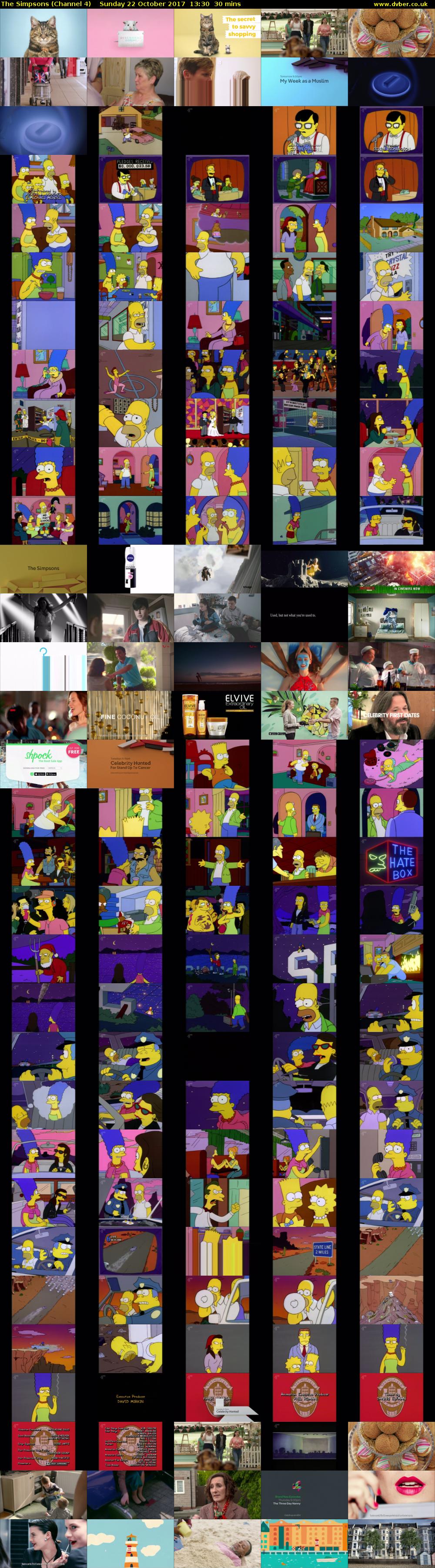 The Simpsons (Channel 4) Sunday 22 October 2017 13:30 - 14:00