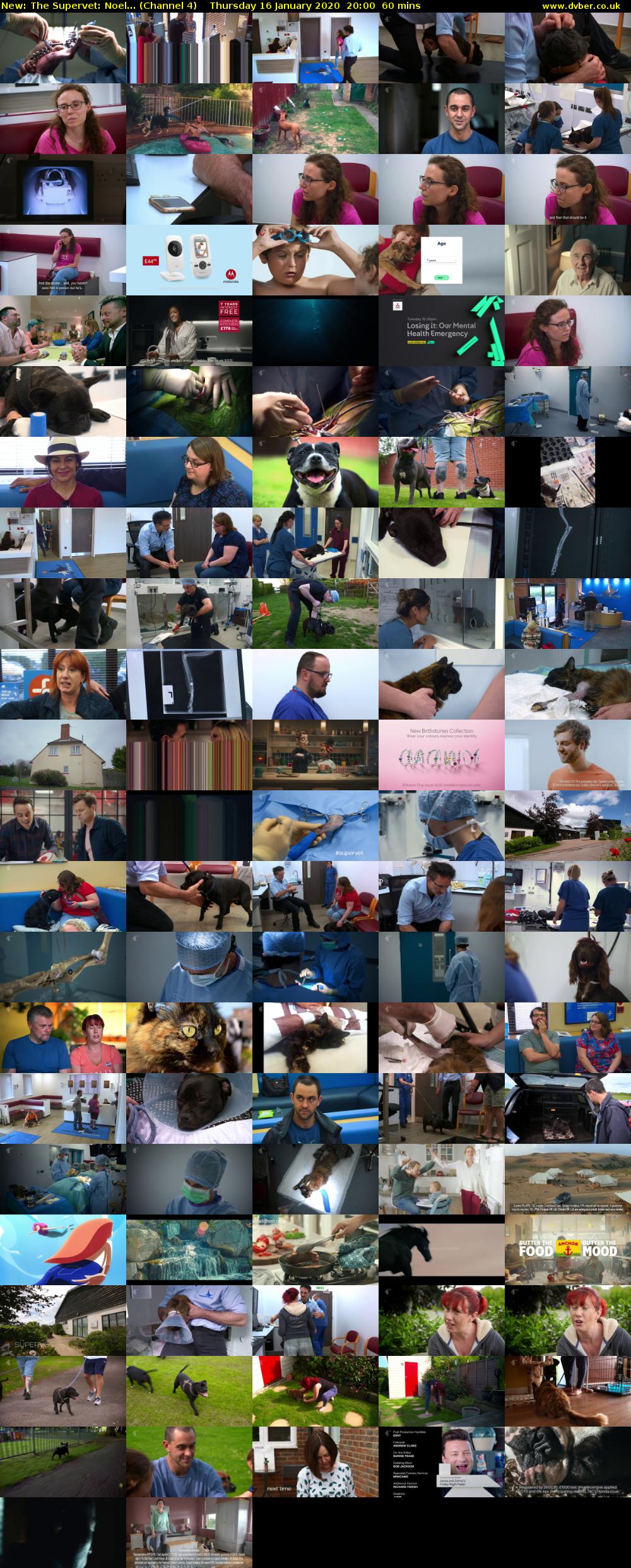 The Supervet: Noel... (Channel 4) Thursday 16 January 2020 20:00 - 21:00