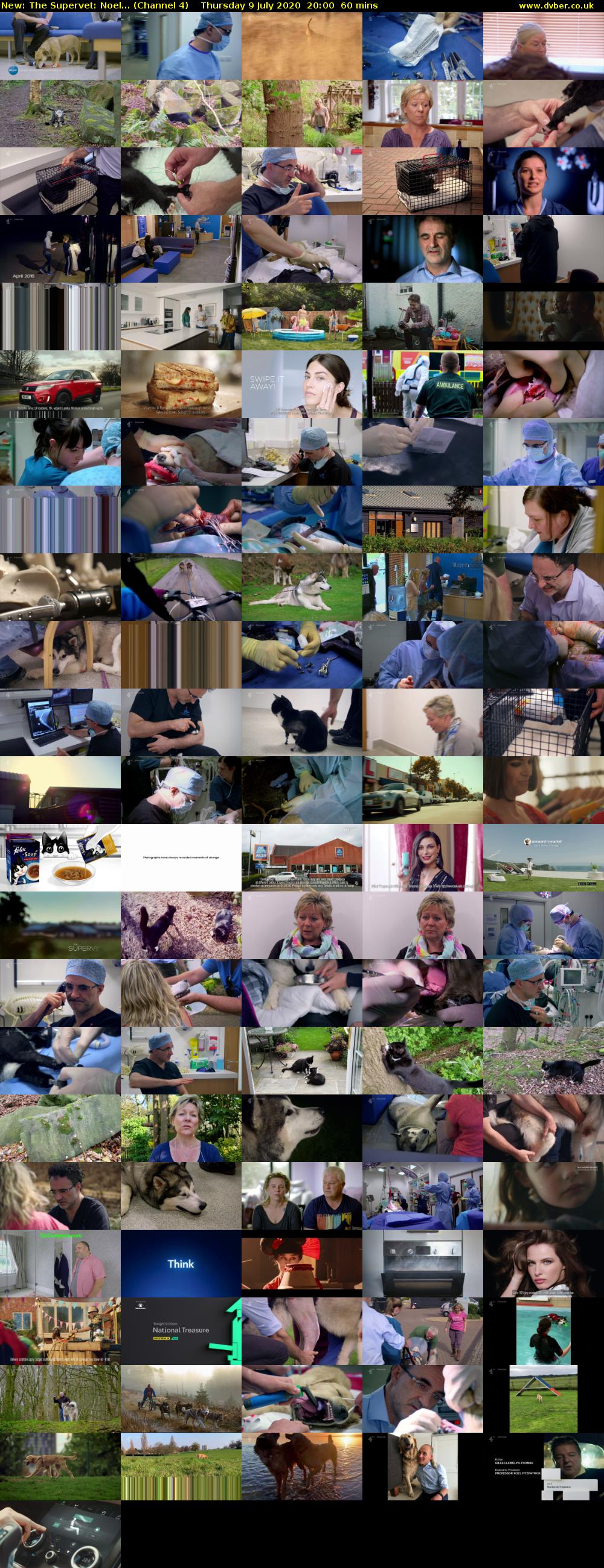 The Supervet: Noel... (Channel 4) Thursday 9 July 2020 20:00 - 21:00