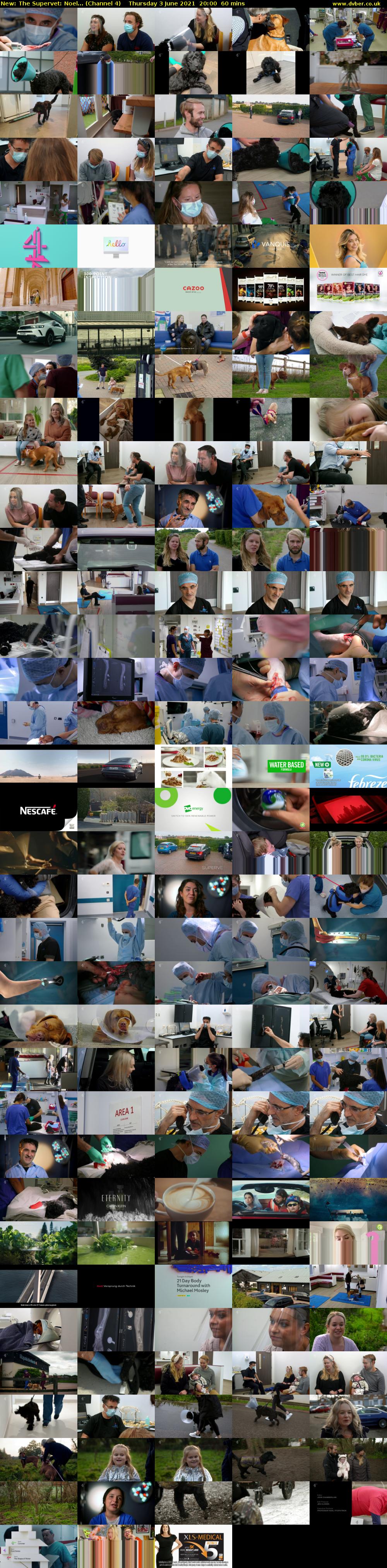 The Supervet: Noel... (Channel 4) Thursday 3 June 2021 20:00 - 21:00
