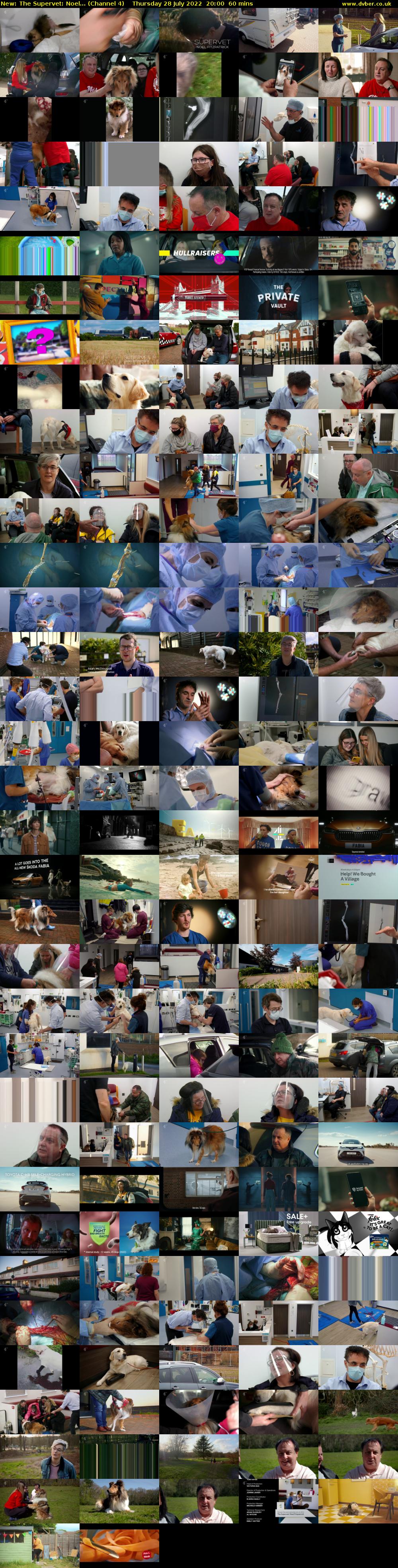 The Supervet: Noel... (Channel 4) Thursday 28 July 2022 20:00 - 21:00
