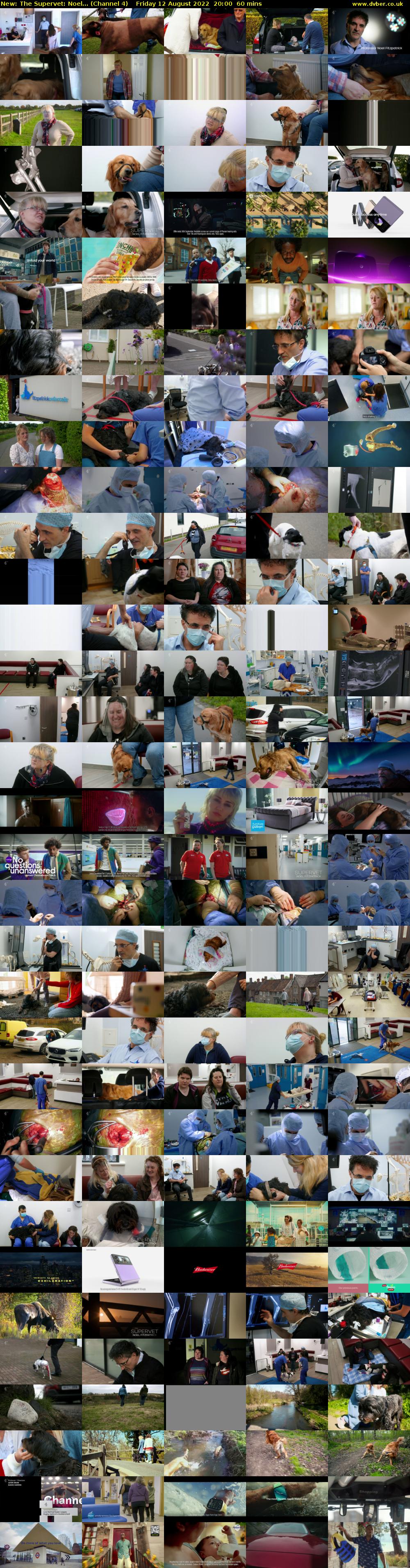 The Supervet: Noel... (Channel 4) Friday 12 August 2022 20:00 - 21:00