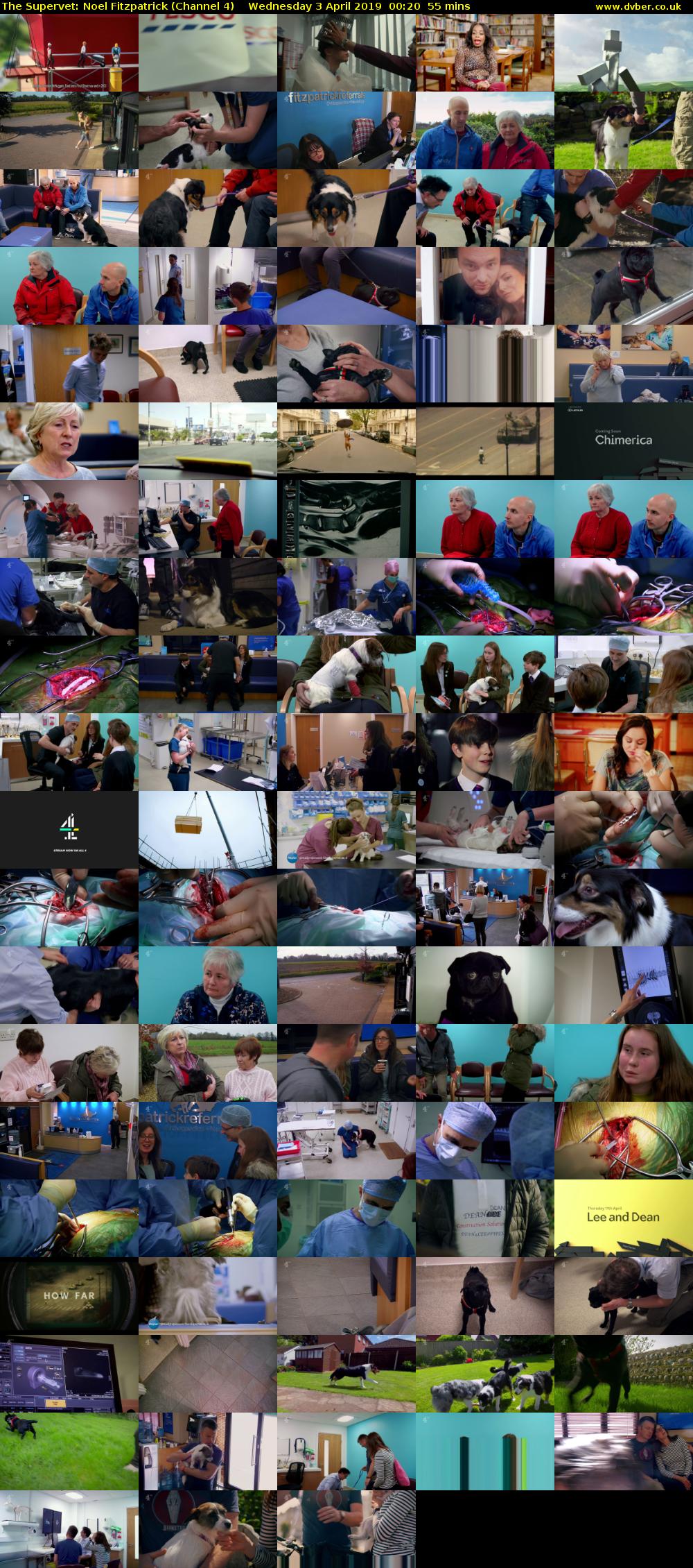 The Supervet: Noel Fitzpatrick (Channel 4) Wednesday 3 April 2019 00:20 - 01:15
