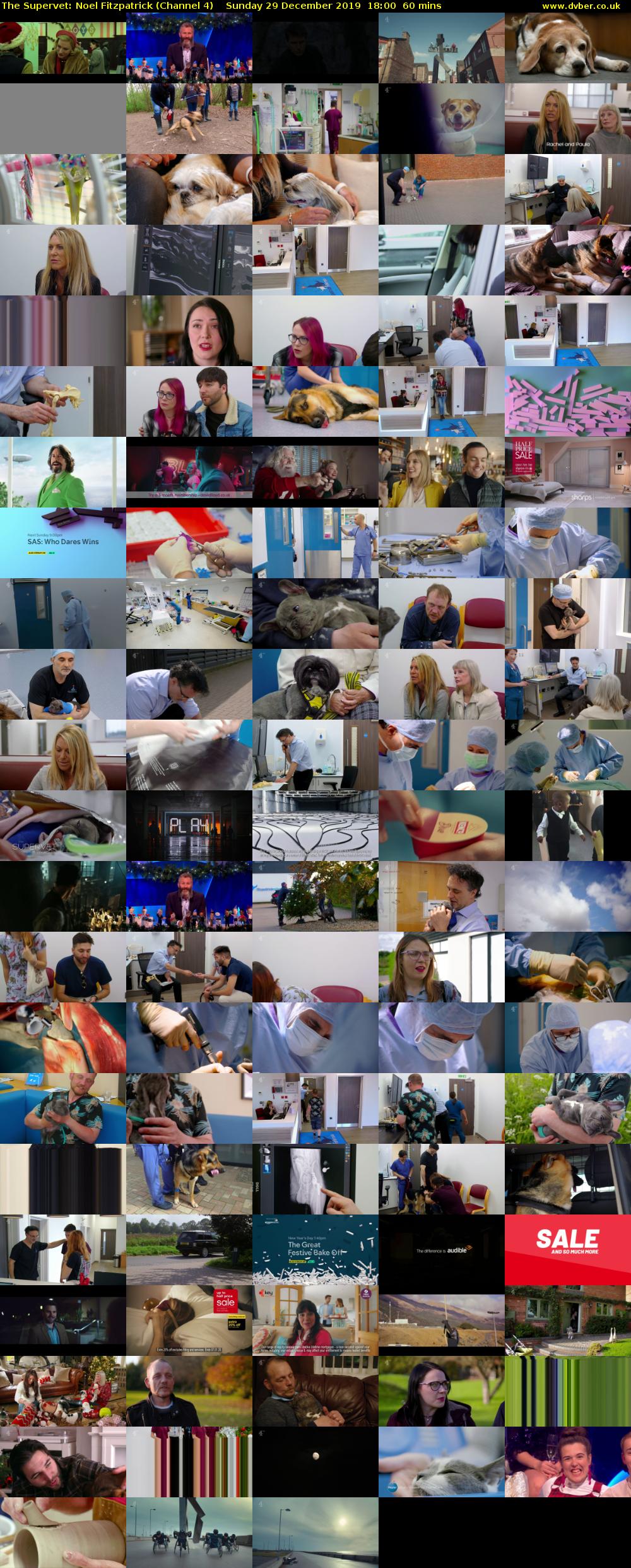 The Supervet: Noel Fitzpatrick (Channel 4) Sunday 29 December 2019 18:00 - 19:00