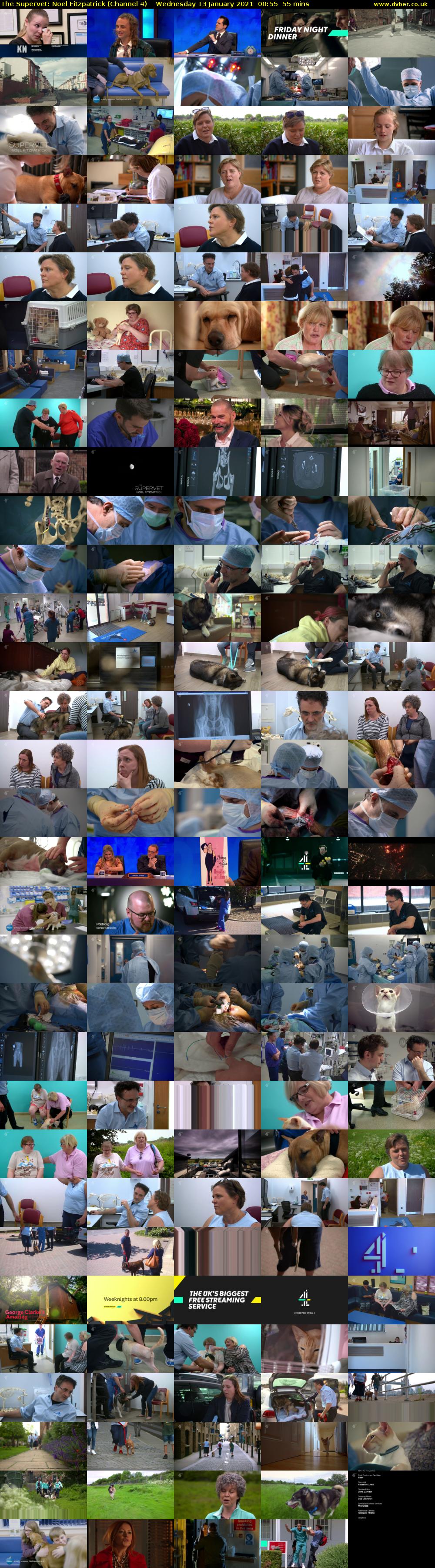 The Supervet: Noel Fitzpatrick (Channel 4) Wednesday 13 January 2021 00:55 - 01:50