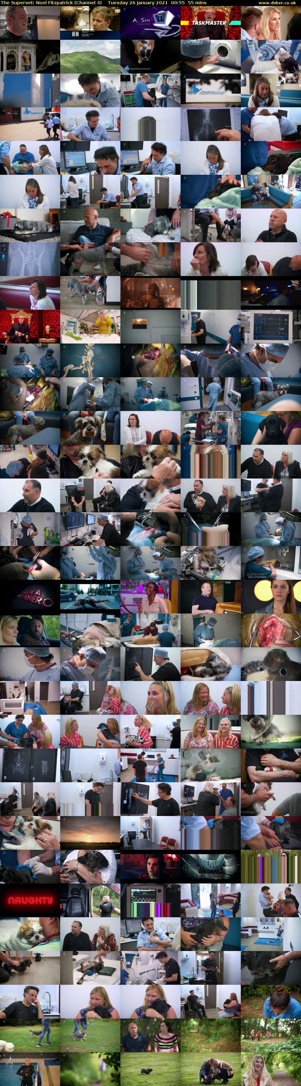 The Supervet: Noel Fitzpatrick (Channel 4) Tuesday 26 January 2021 00:55 - 01:50