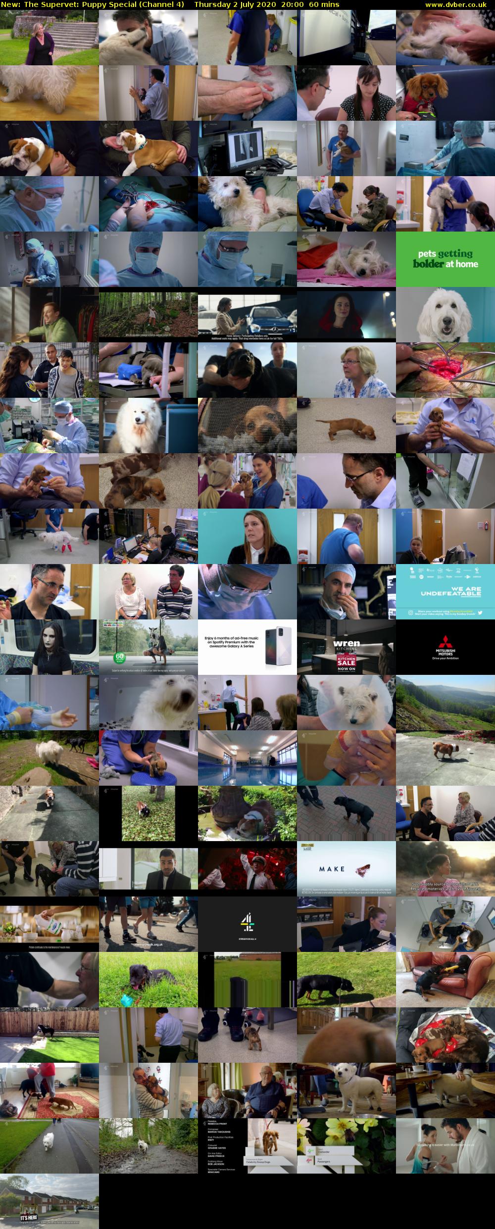 The Supervet: Puppy Special (Channel 4) Thursday 2 July 2020 20:00 - 21:00