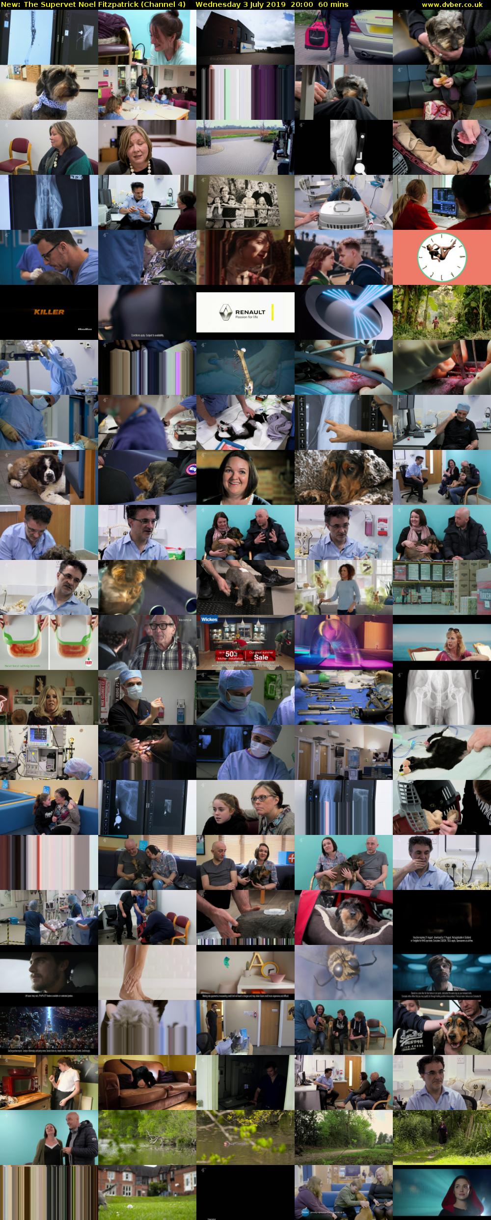 The Supervet Noel Fitzpatrick (Channel 4) Wednesday 3 July 2019 20:00 - 21:00