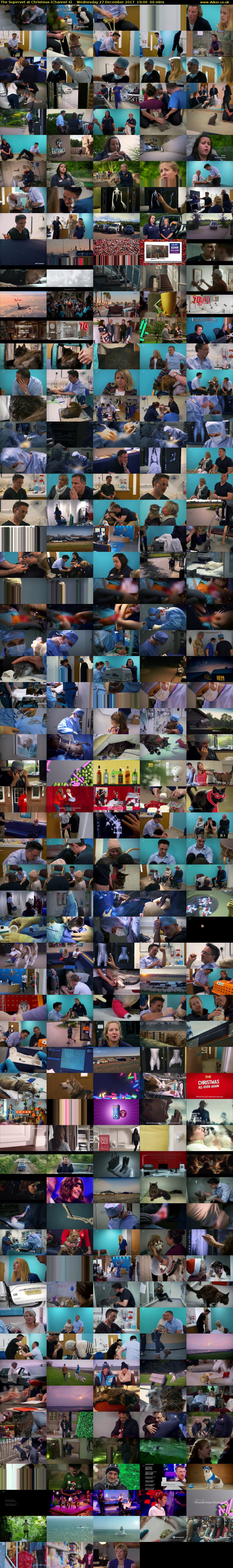 The Supervet at Christmas (Channel 4) Wednesday 27 December 2017 19:00 - 20:00