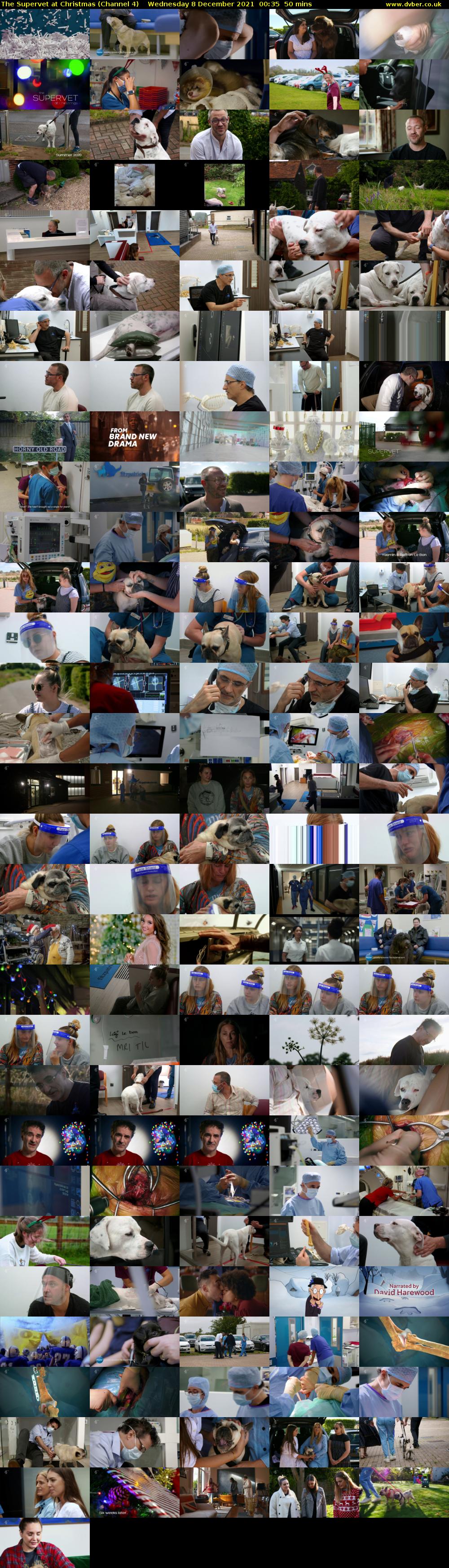 The Supervet at Christmas (Channel 4) Wednesday 8 December 2021 00:35 - 01:25