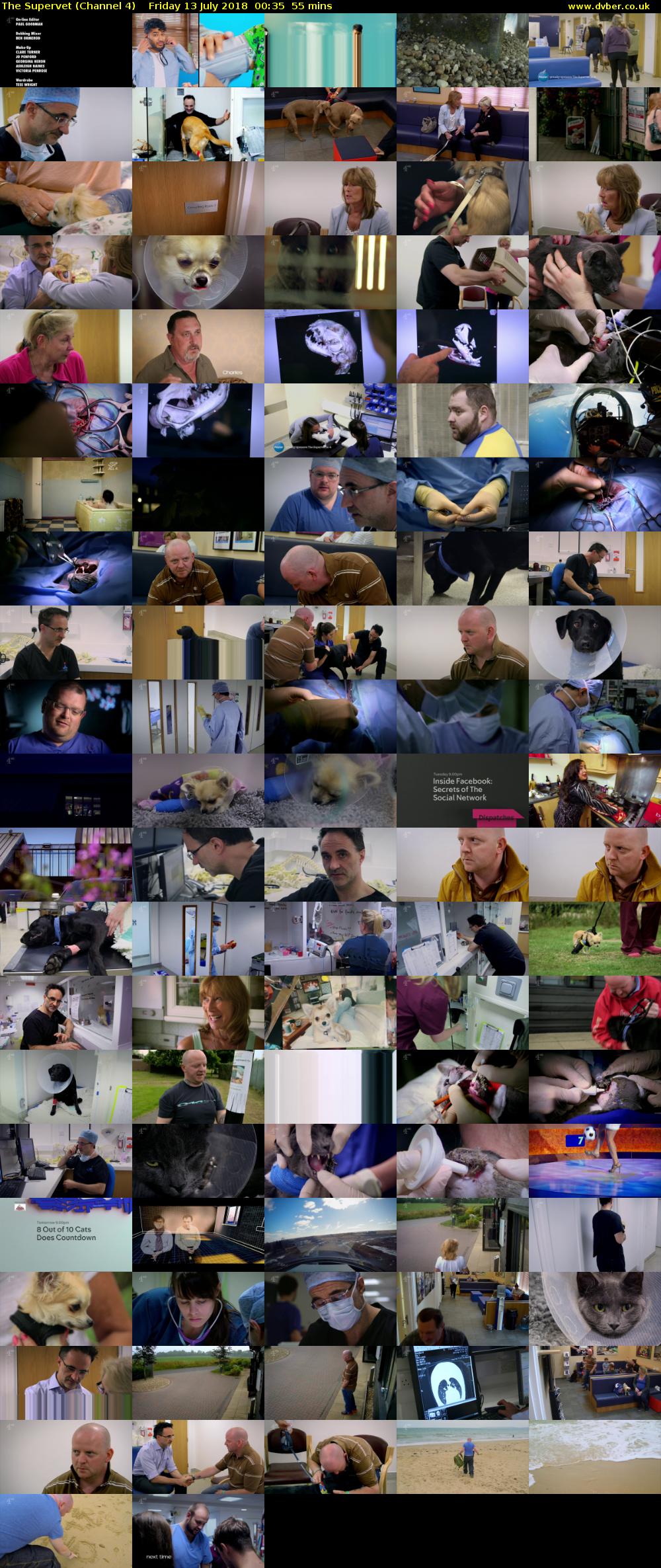 The Supervet (Channel 4) Friday 13 July 2018 00:35 - 01:30