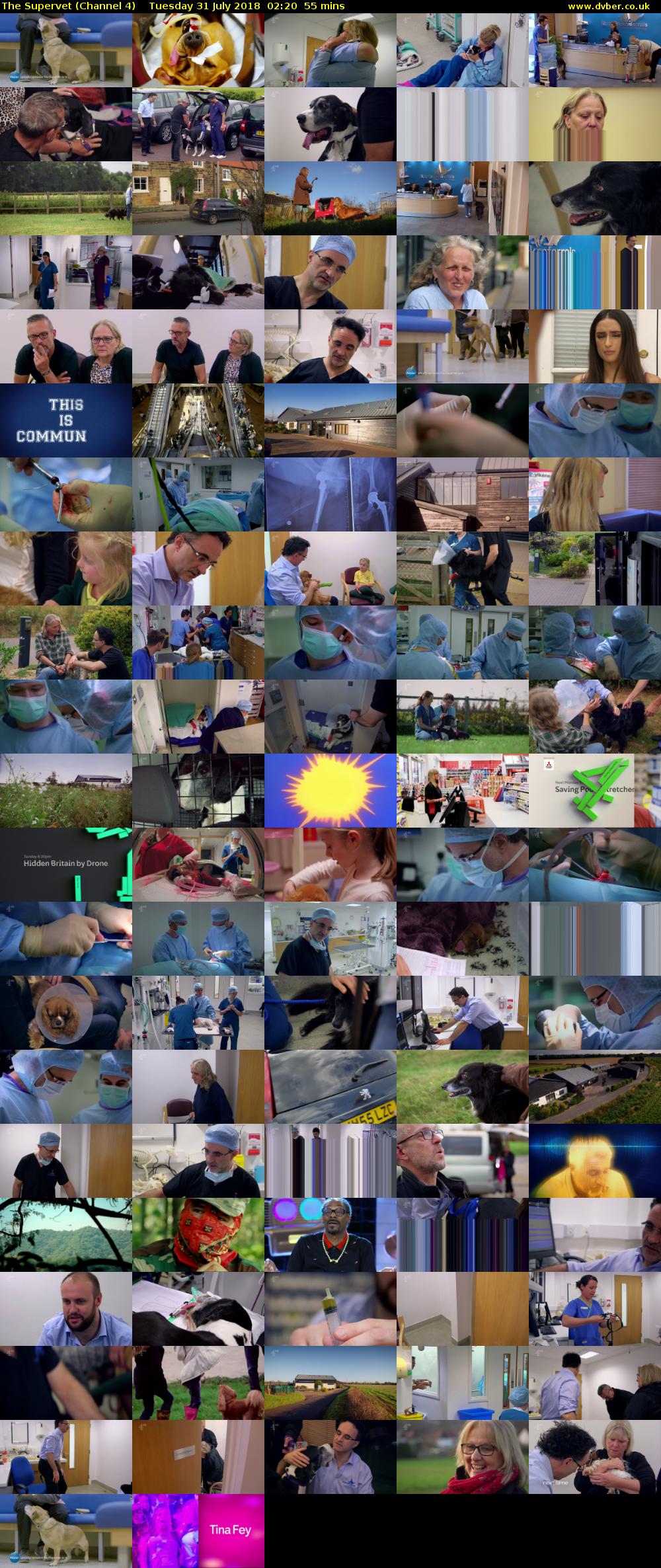 The Supervet (Channel 4) Tuesday 31 July 2018 02:20 - 03:15