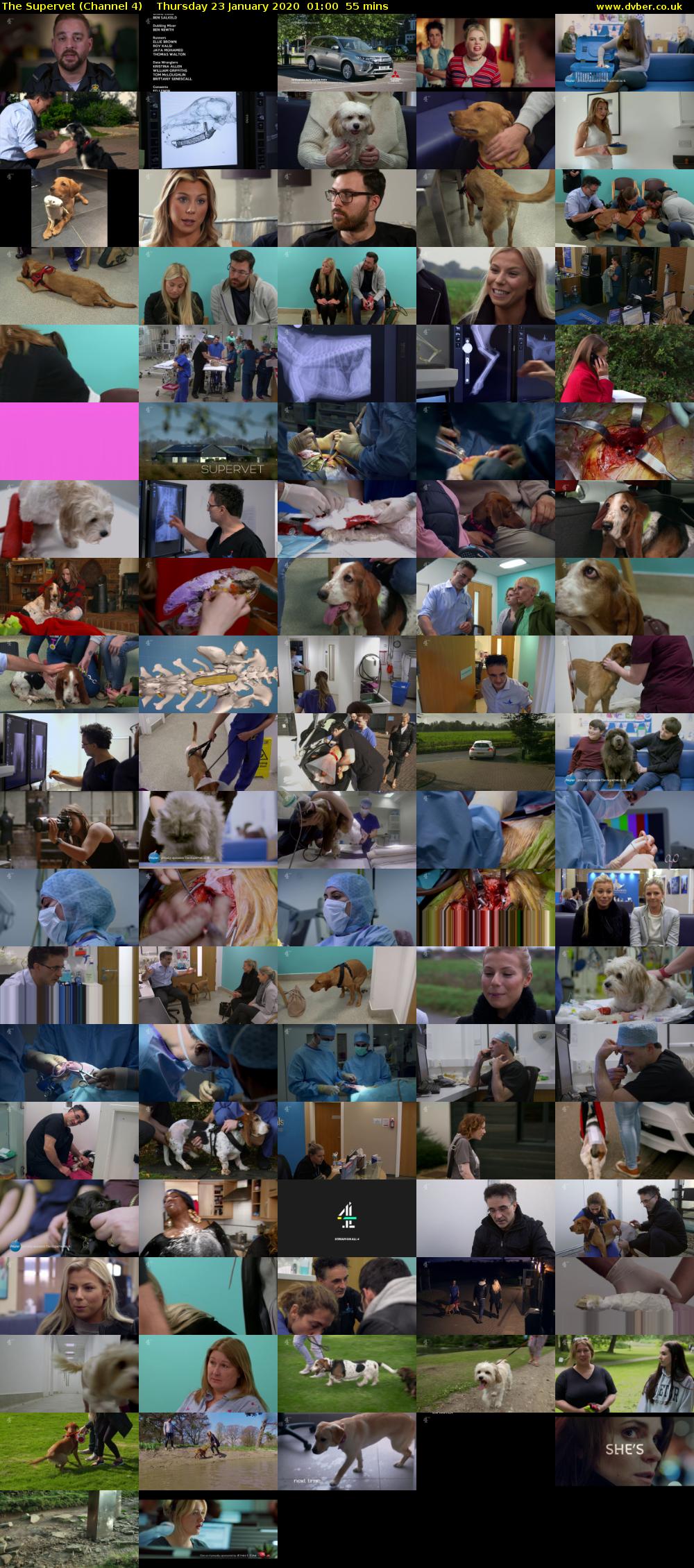 The Supervet (Channel 4) Thursday 23 January 2020 01:00 - 01:55