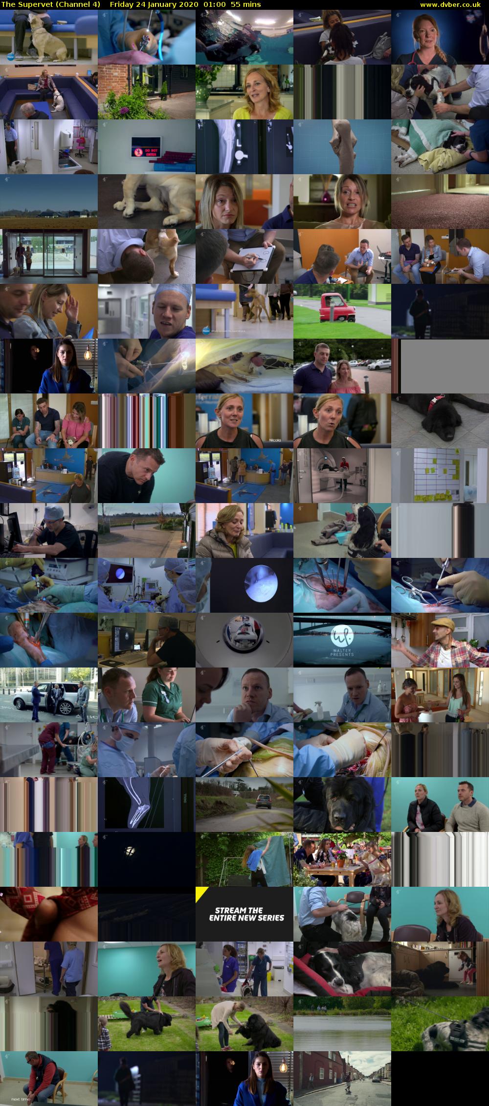 The Supervet (Channel 4) Friday 24 January 2020 01:00 - 01:55