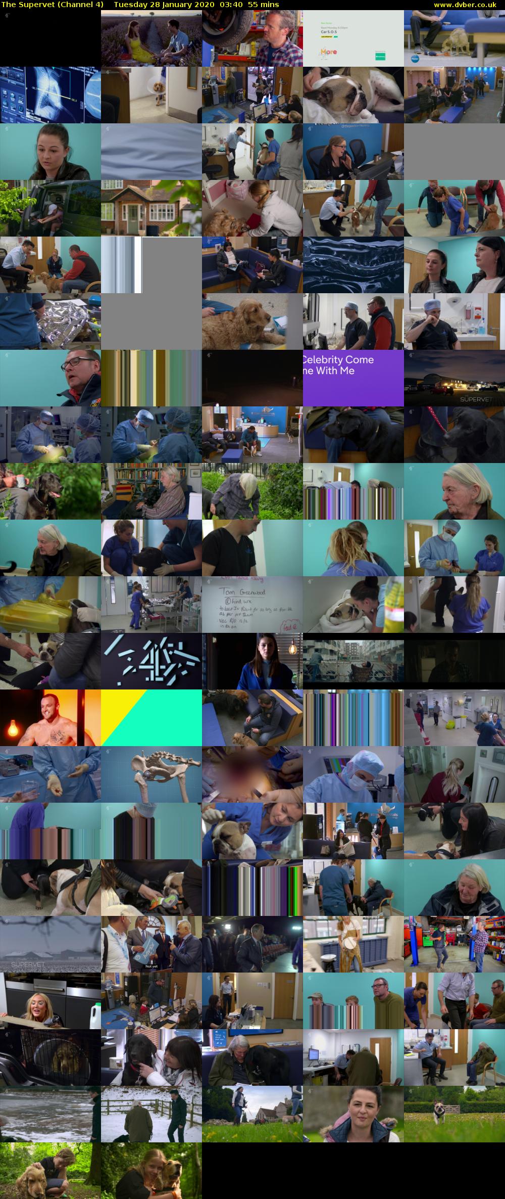 The Supervet (Channel 4) Tuesday 28 January 2020 03:40 - 04:35