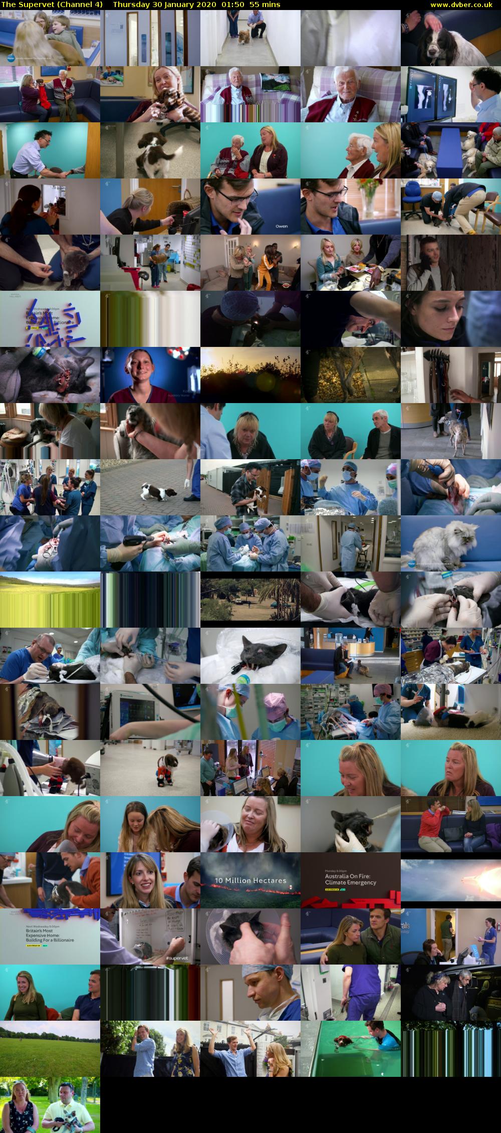 The Supervet (Channel 4) Thursday 30 January 2020 01:50 - 02:45