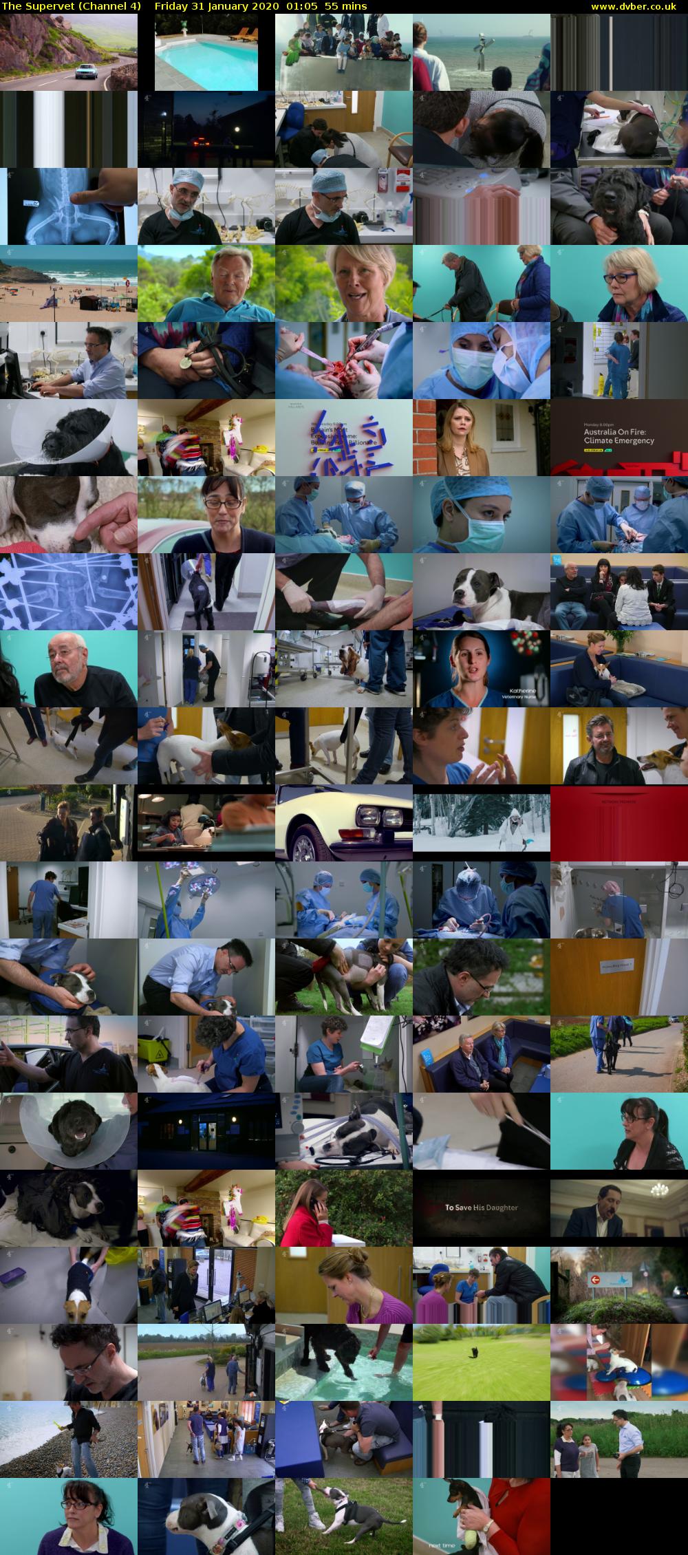 The Supervet (Channel 4) Friday 31 January 2020 01:05 - 02:00