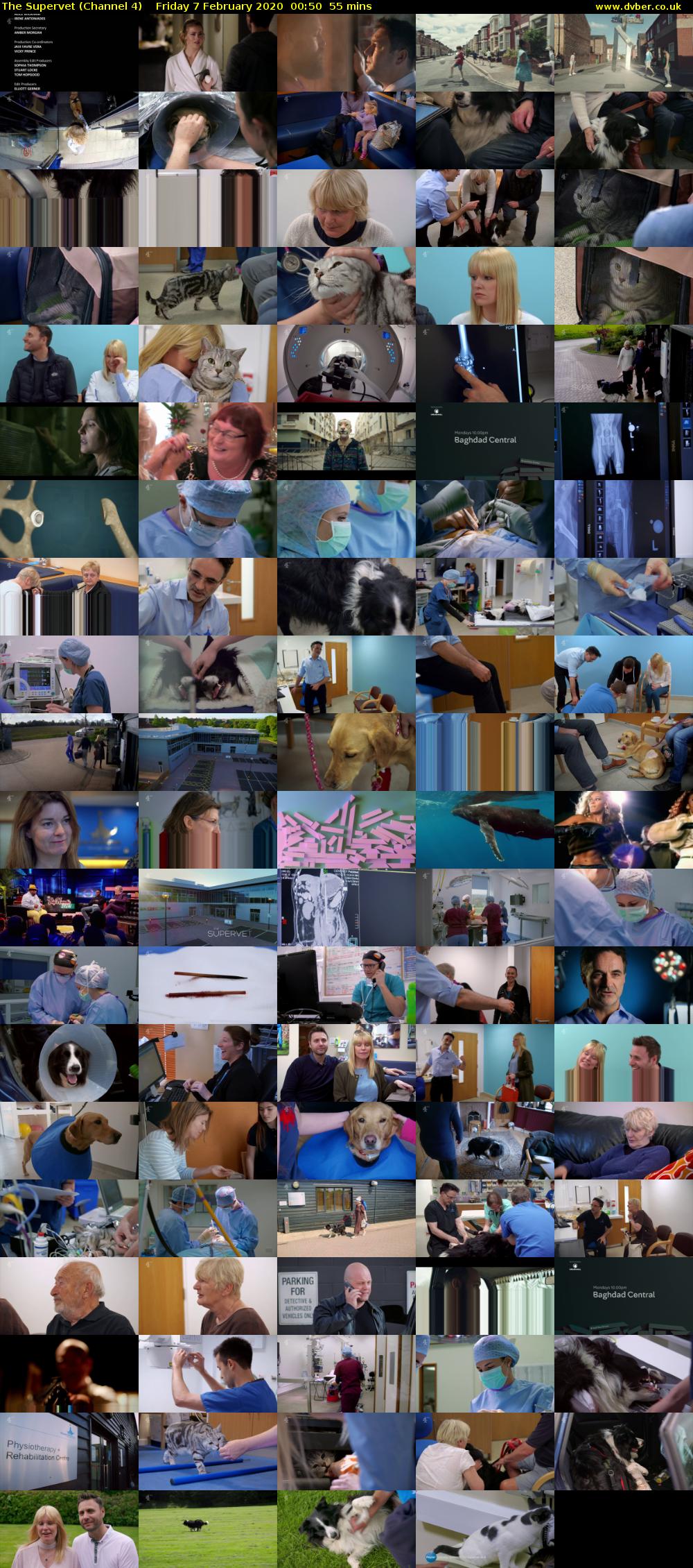 The Supervet (Channel 4) Friday 7 February 2020 00:50 - 01:45