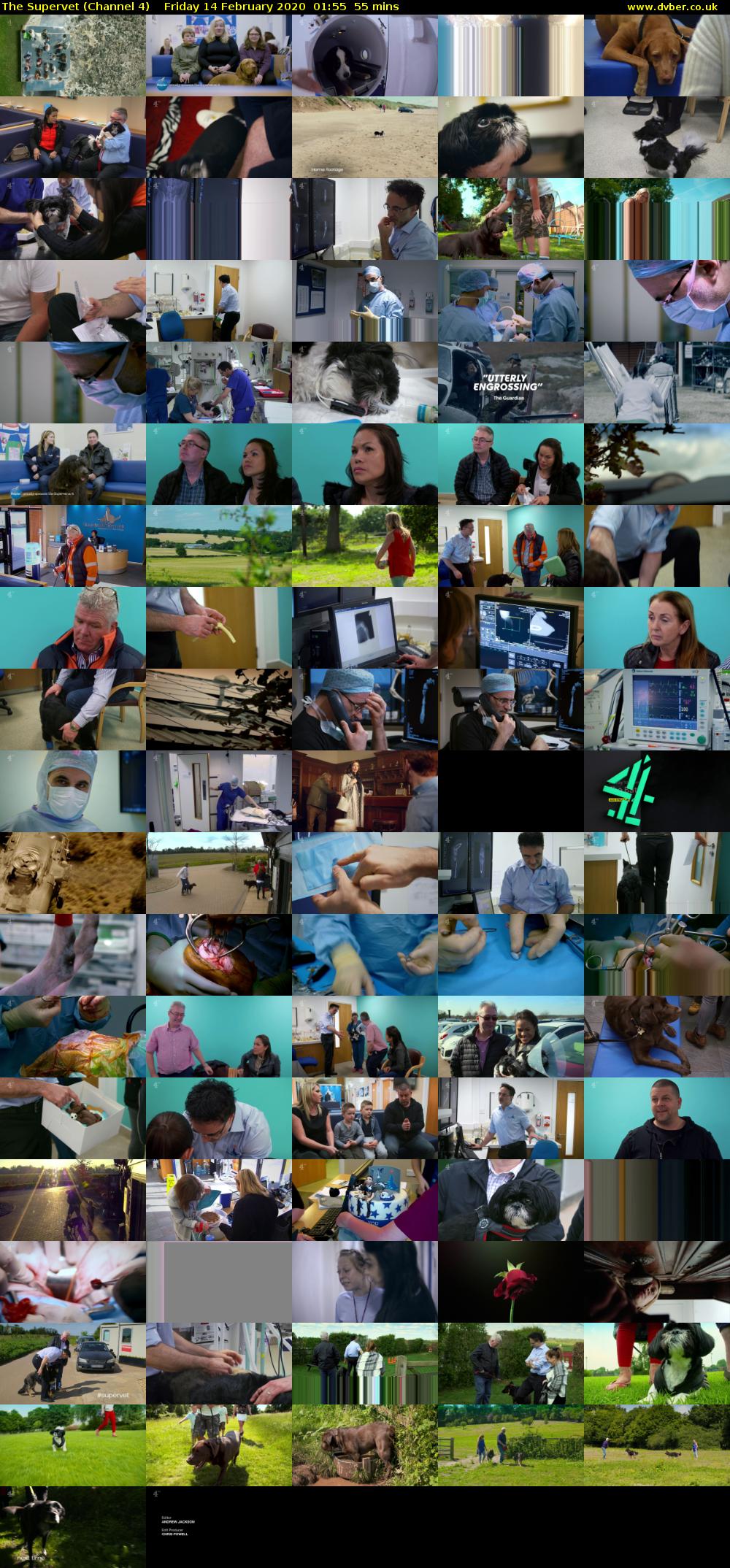 The Supervet (Channel 4) Friday 14 February 2020 01:55 - 02:50