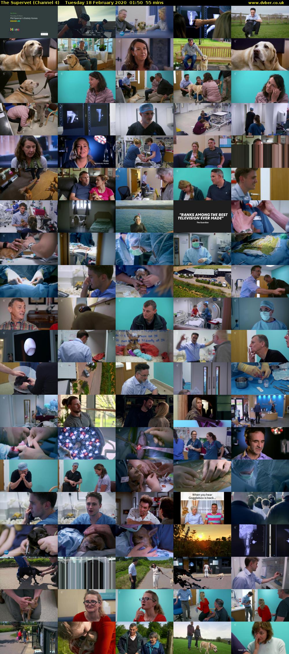 The Supervet (Channel 4) Tuesday 18 February 2020 01:50 - 02:45