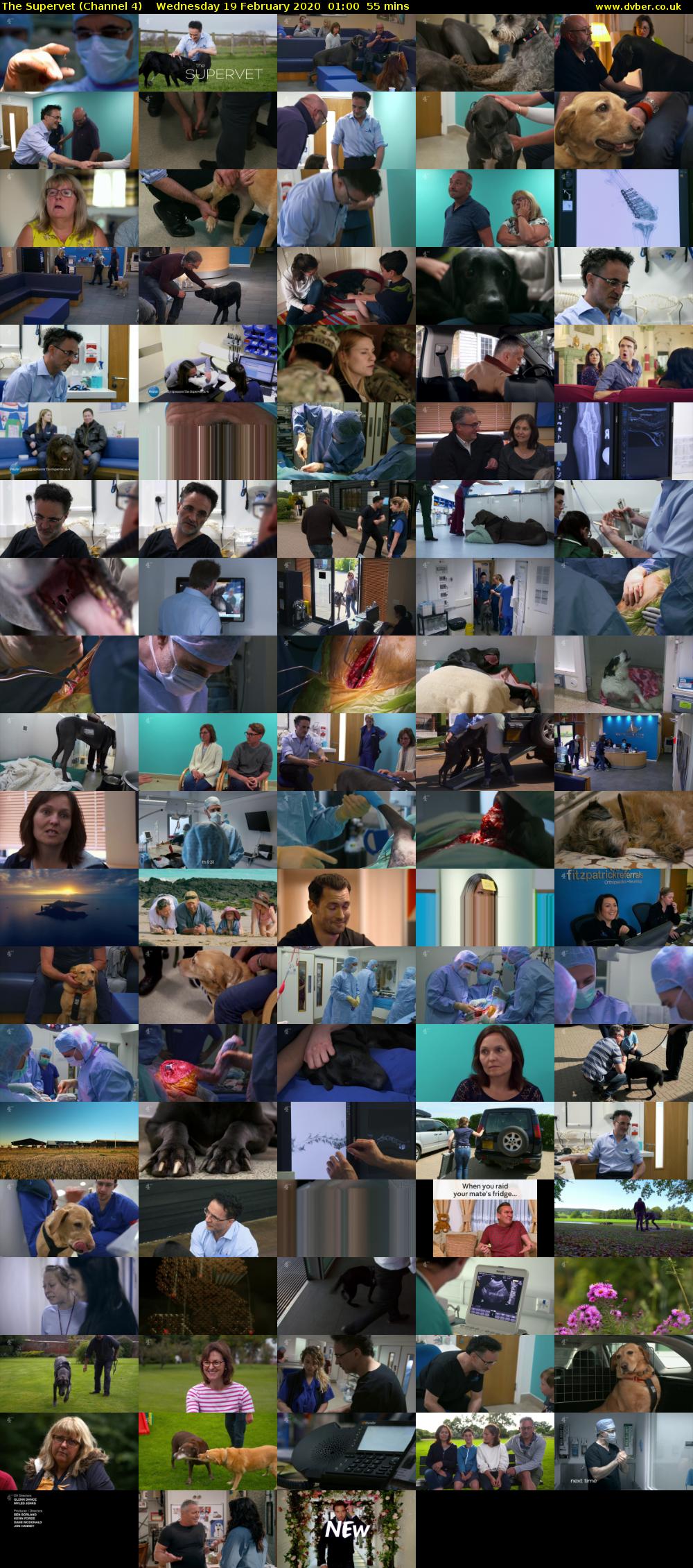 The Supervet (Channel 4) Wednesday 19 February 2020 01:00 - 01:55