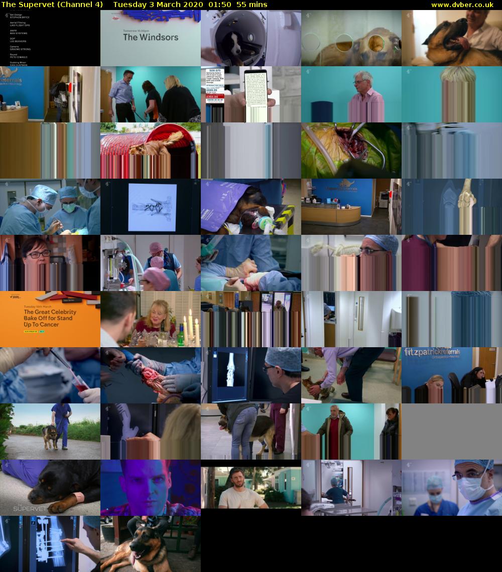 The Supervet (Channel 4) Tuesday 3 March 2020 01:50 - 02:45