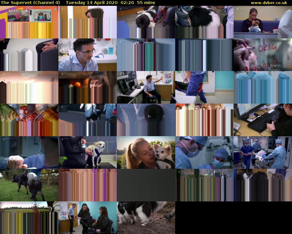 The Supervet (Channel 4) Tuesday 14 April 2020 02:20 - 03:15