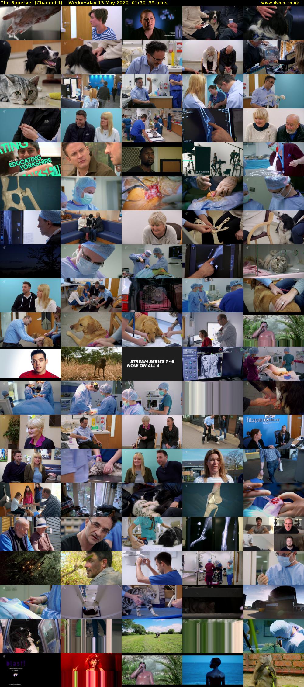 The Supervet (Channel 4) Wednesday 13 May 2020 01:50 - 02:45