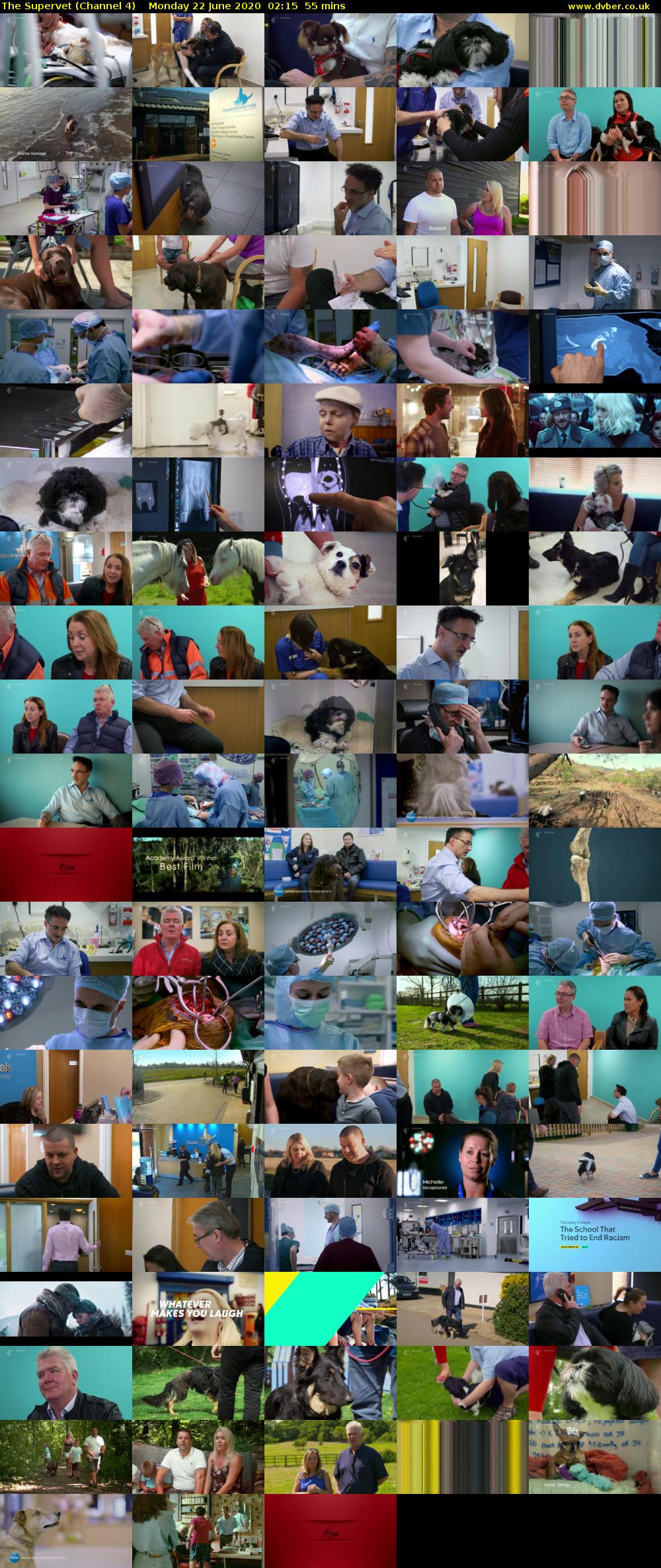 The Supervet (Channel 4) Monday 22 June 2020 02:15 - 03:10