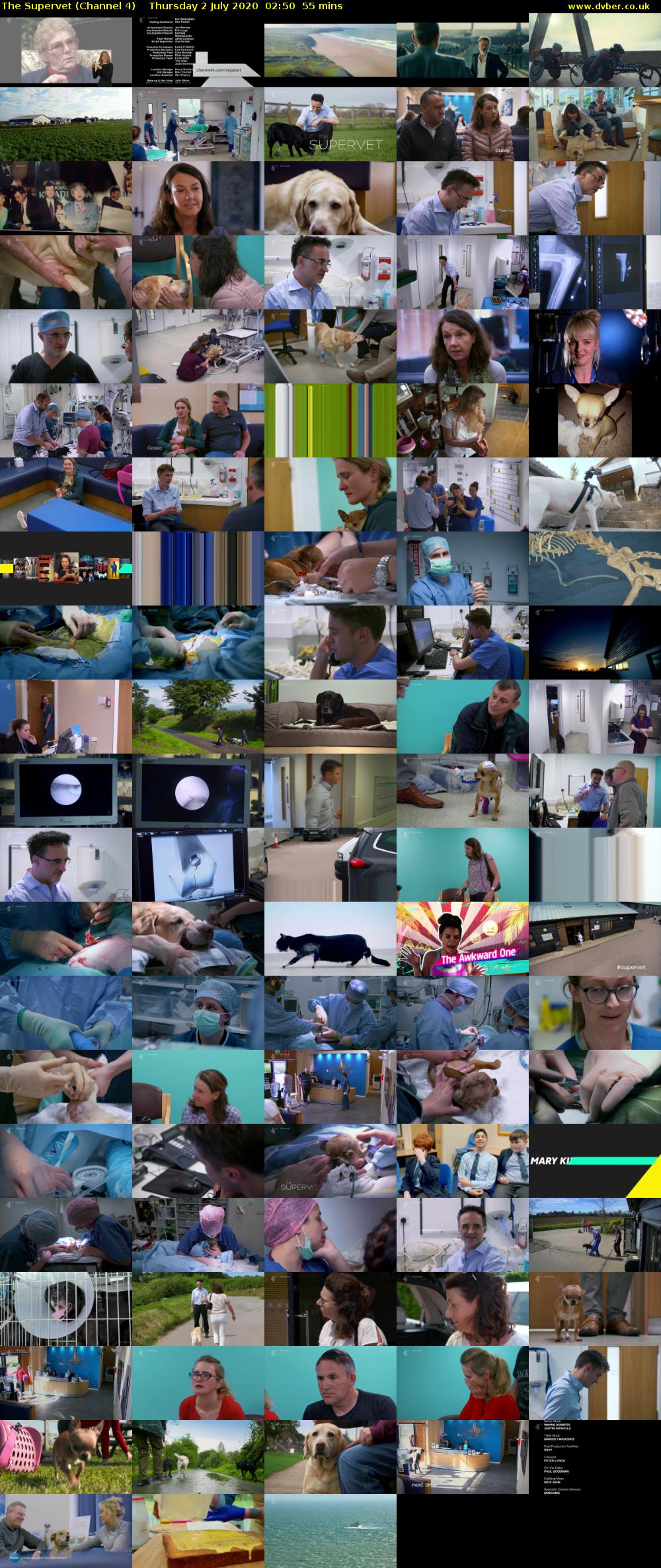 The Supervet (Channel 4) Thursday 2 July 2020 02:50 - 03:45