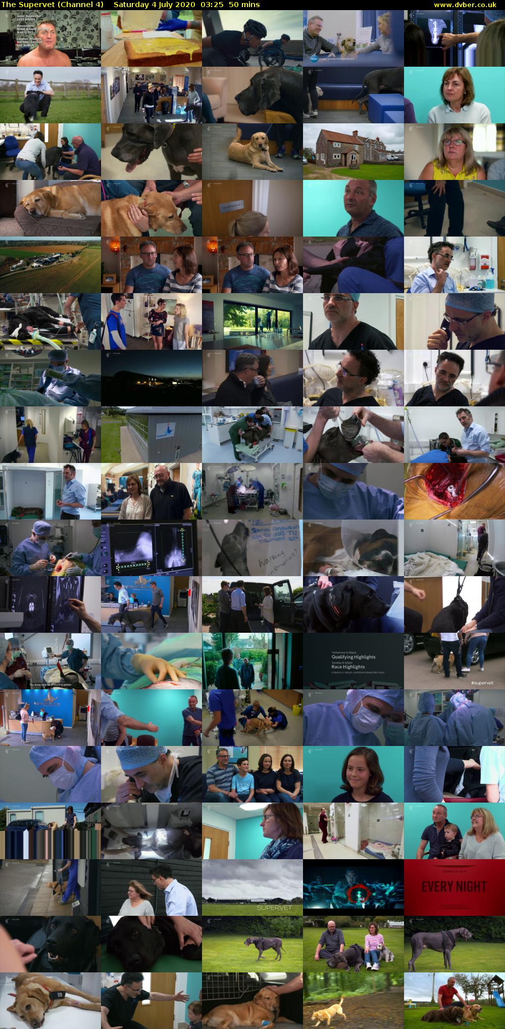 The Supervet (Channel 4) Saturday 4 July 2020 03:25 - 04:15