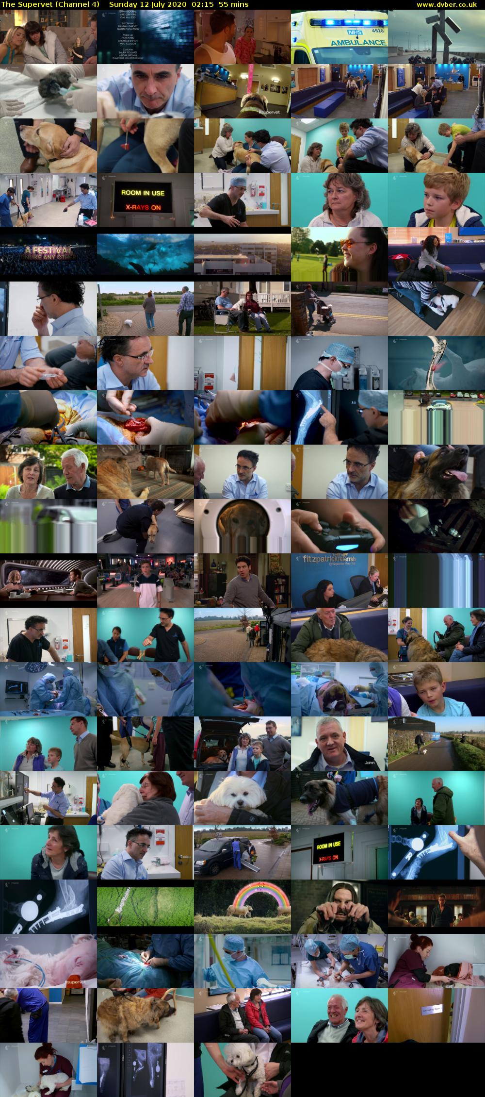 The Supervet (Channel 4) Sunday 12 July 2020 02:15 - 03:10