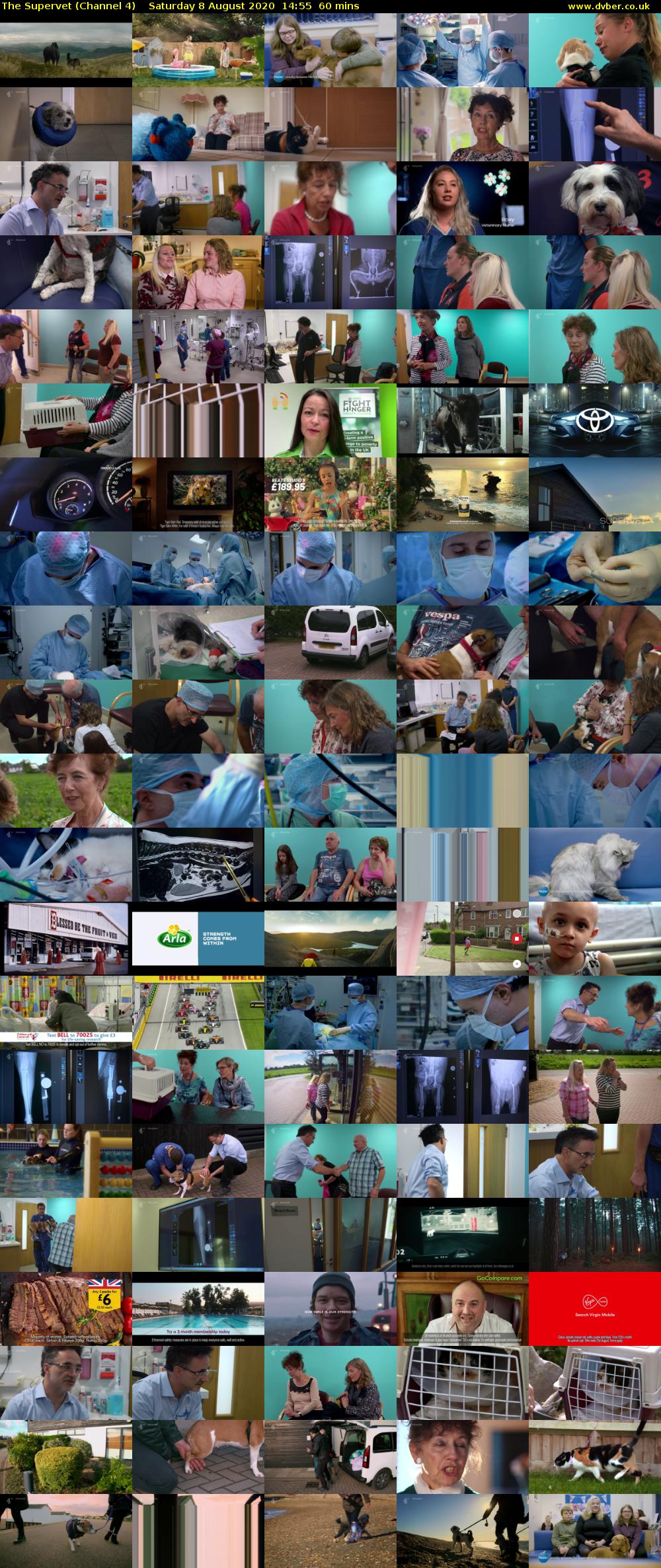 The Supervet (Channel 4) Saturday 8 August 2020 14:55 - 15:55