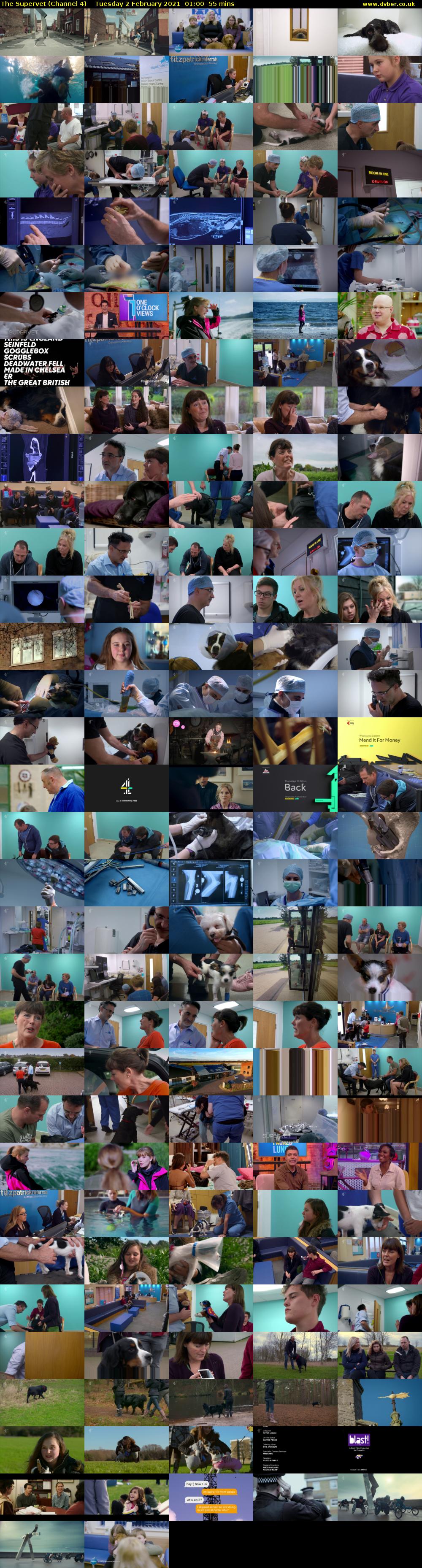 The Supervet (Channel 4) Tuesday 2 February 2021 01:00 - 01:55