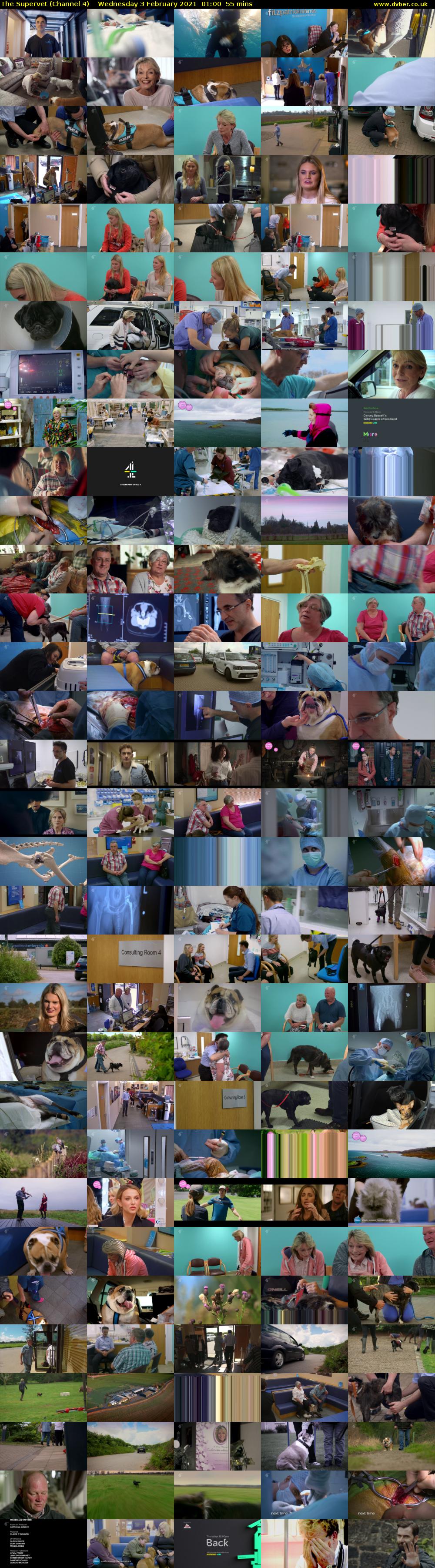 The Supervet (Channel 4) Wednesday 3 February 2021 01:00 - 01:55