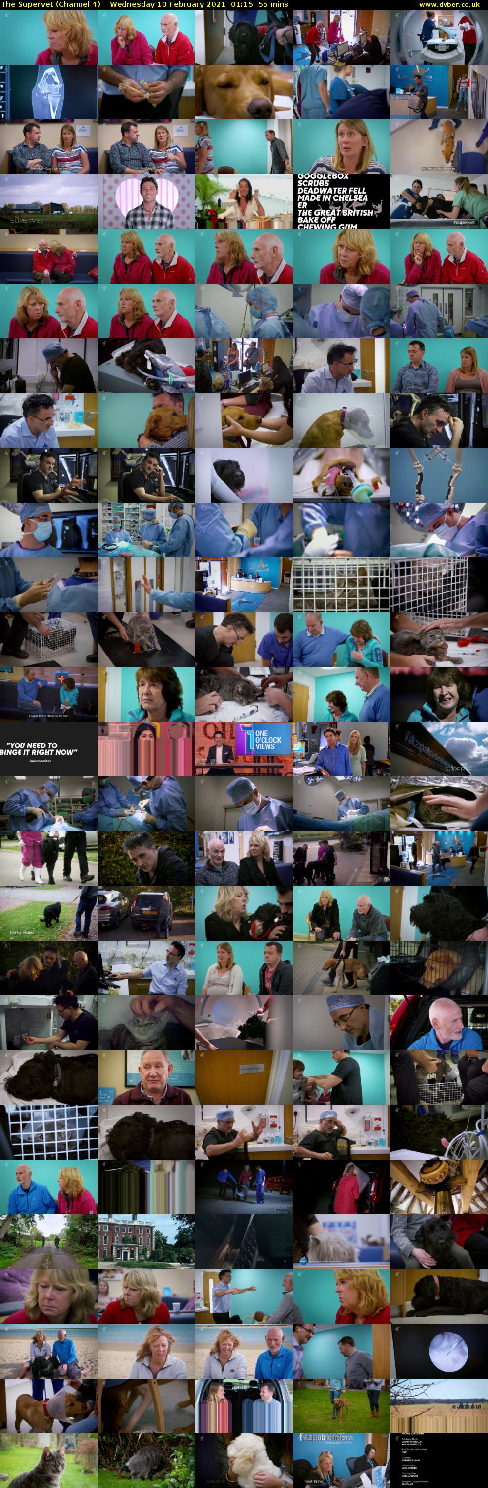 The Supervet (Channel 4) Wednesday 10 February 2021 01:15 - 02:10