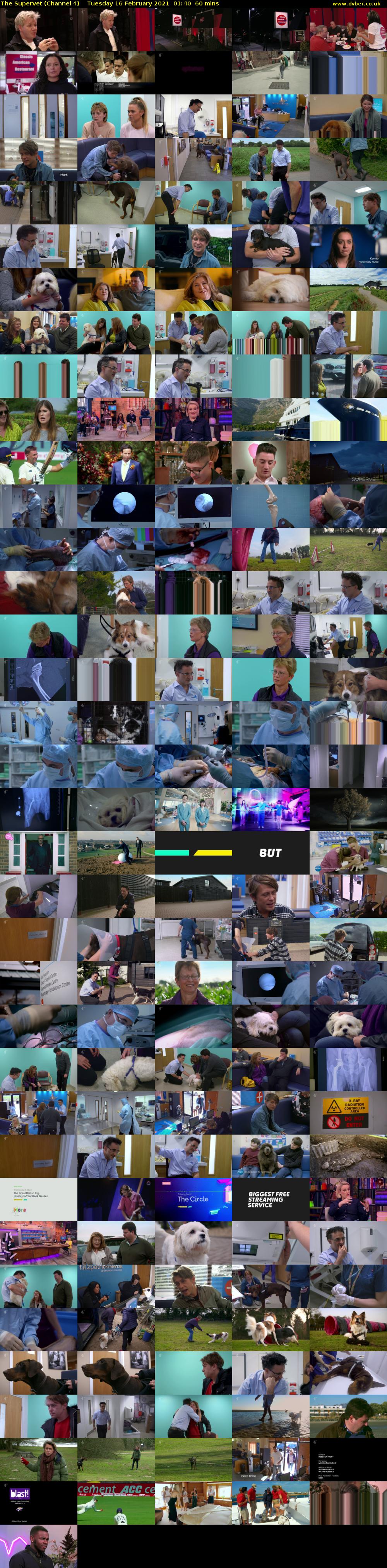 The Supervet (Channel 4) Tuesday 16 February 2021 01:40 - 02:40