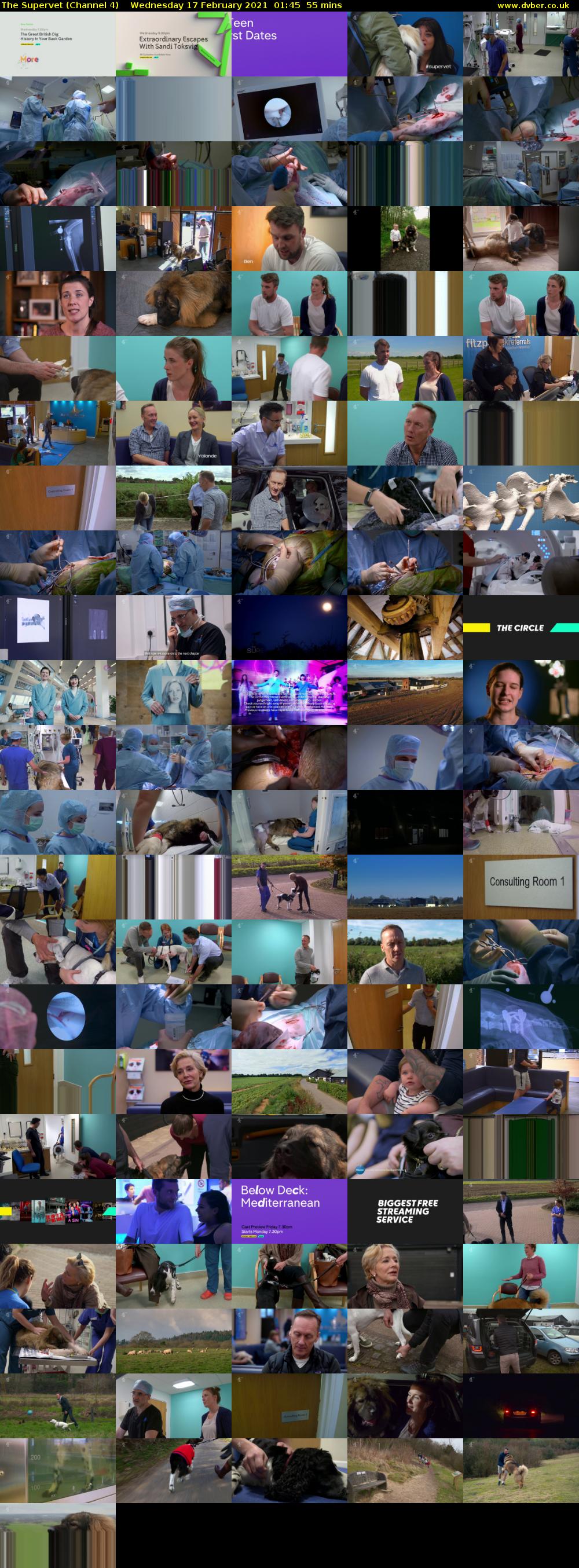 The Supervet (Channel 4) Wednesday 17 February 2021 01:45 - 02:40