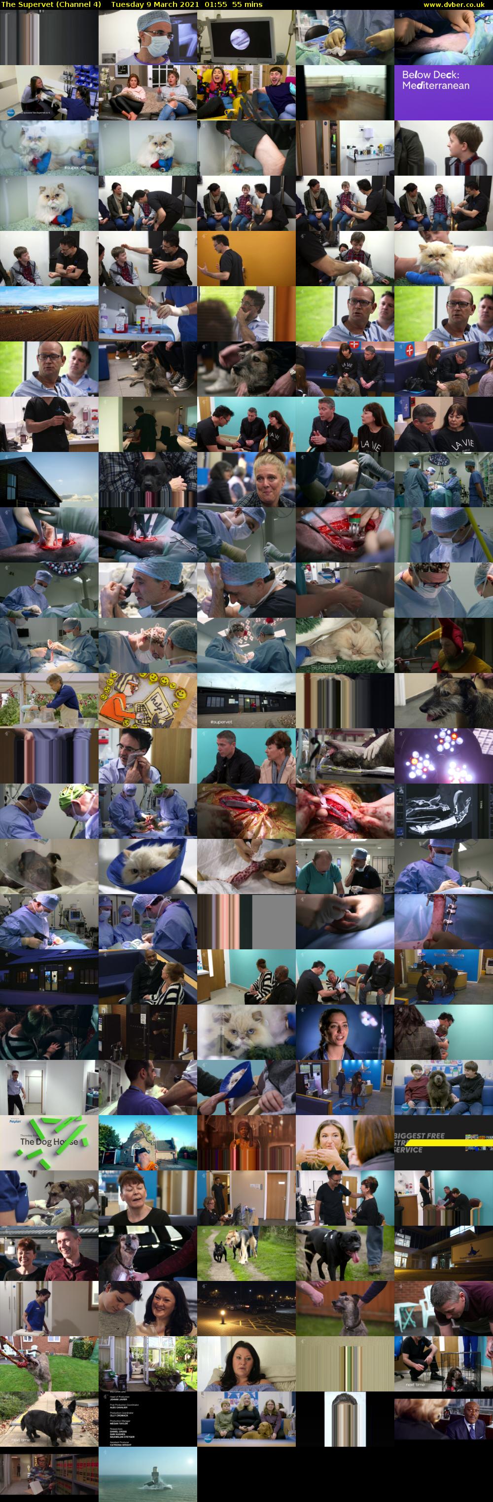The Supervet (Channel 4) Tuesday 9 March 2021 01:55 - 02:50