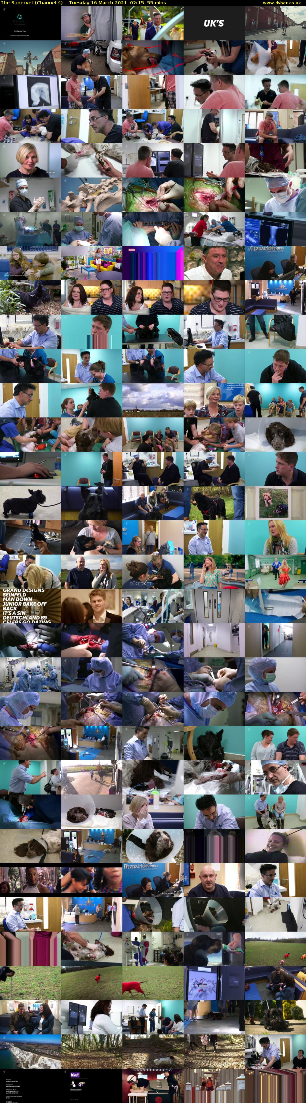 The Supervet (Channel 4) Tuesday 16 March 2021 02:15 - 03:10
